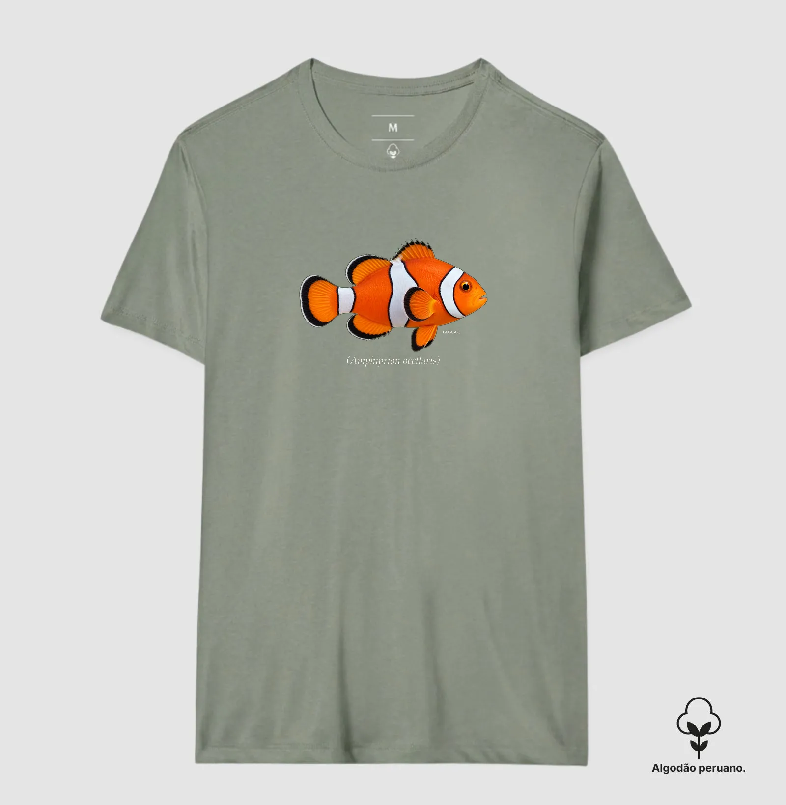 Peixe-Palhaço - Imagem 3