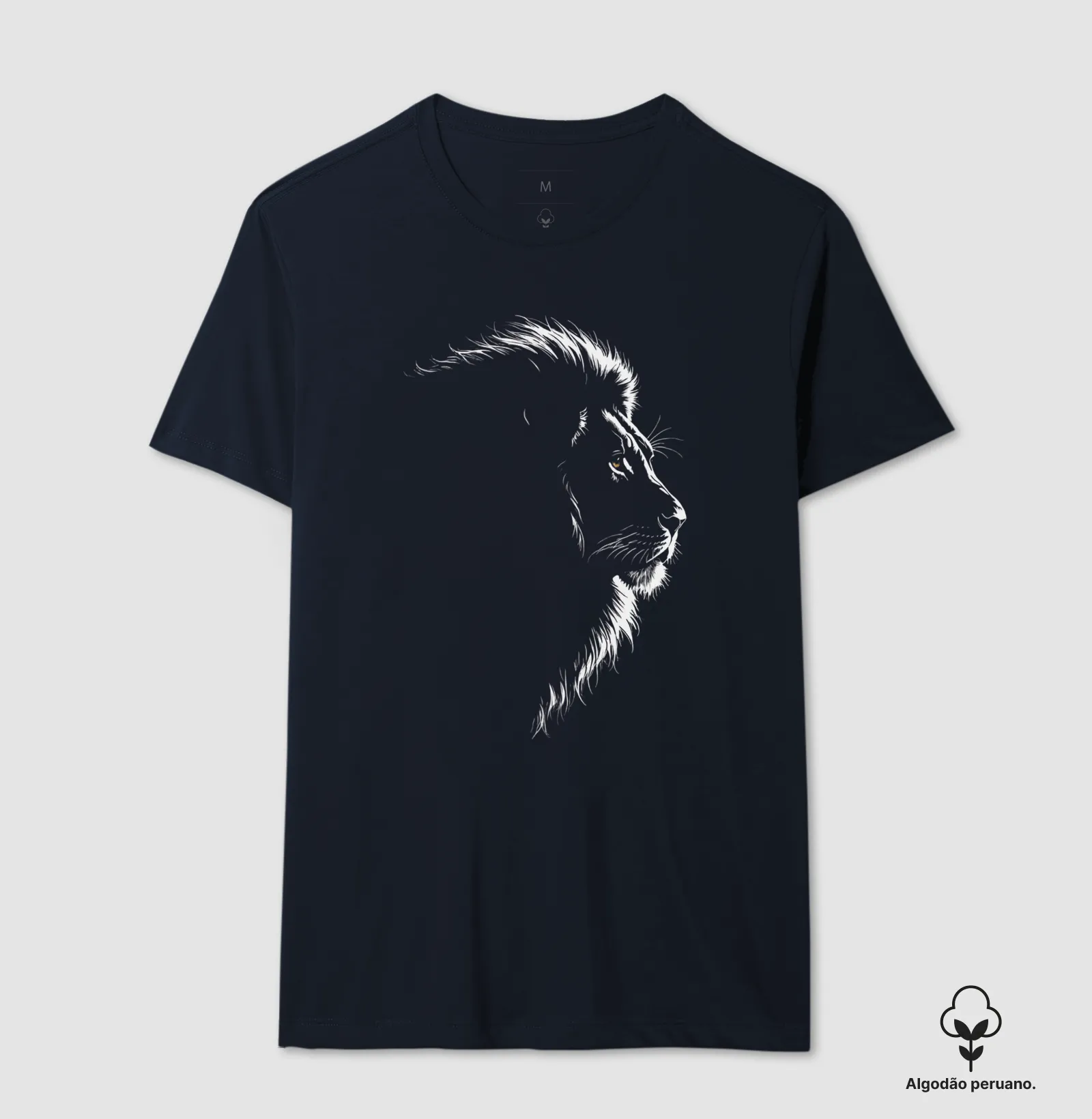 Lion in the dim light - Imagem 4