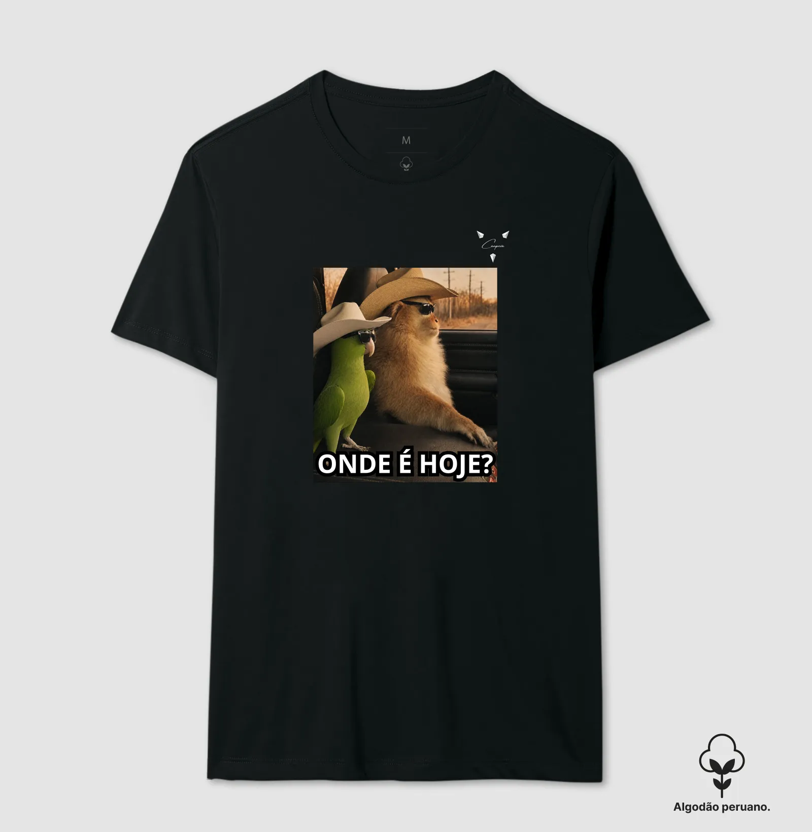 Camisa 1