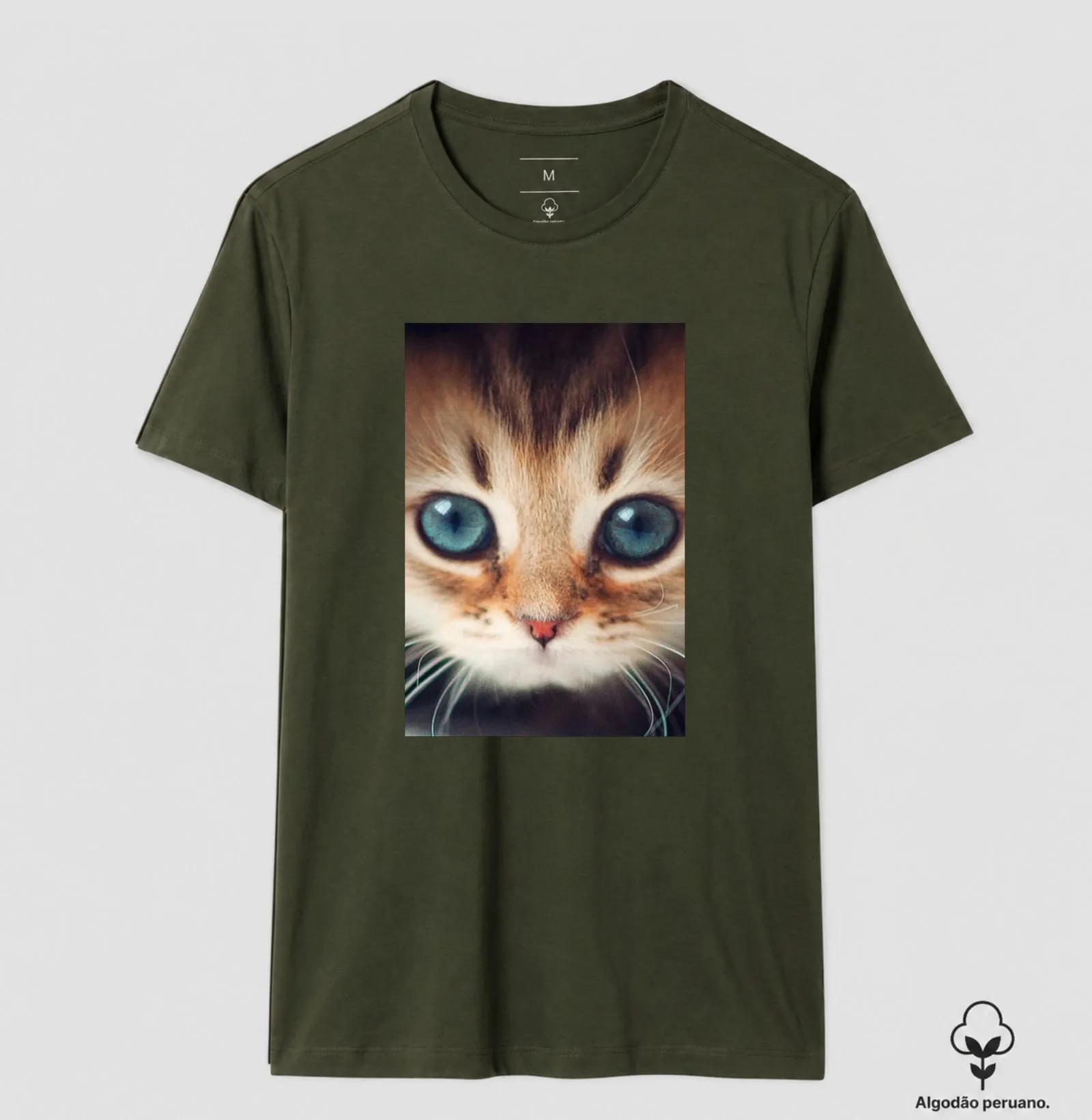 Gatinho - Imagem 8