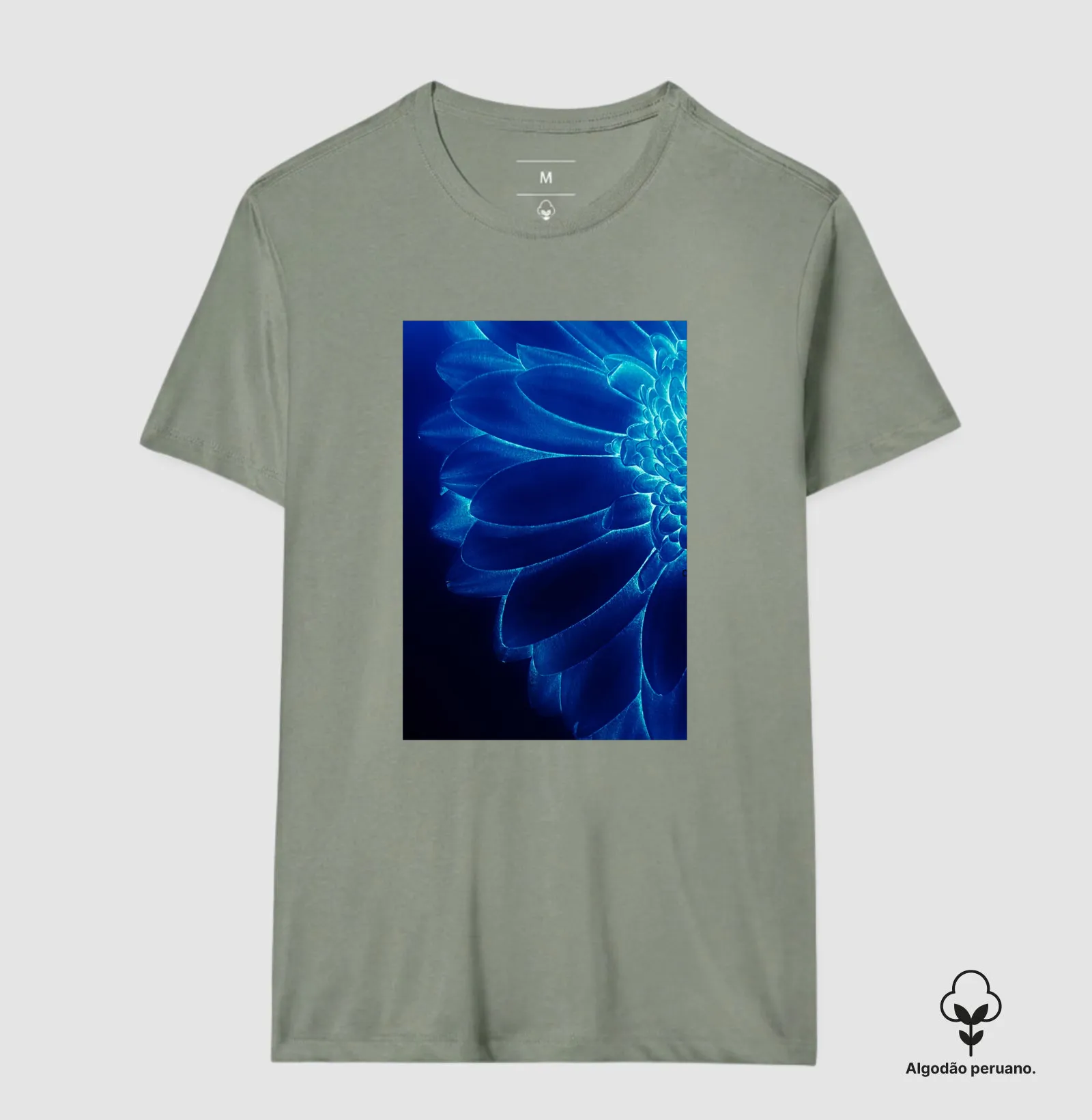 Flor azul - Imagem 8