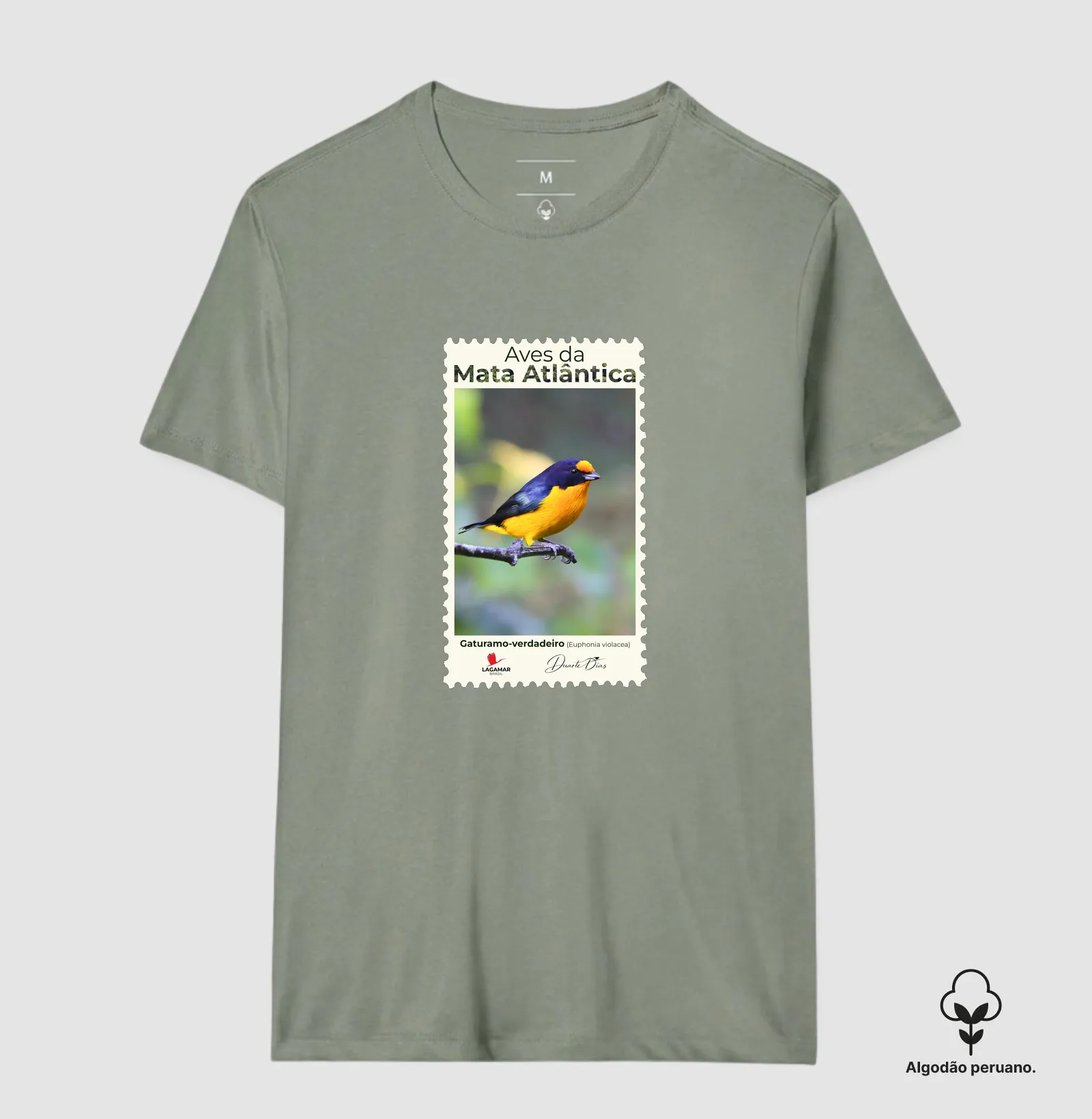 Camisa 8