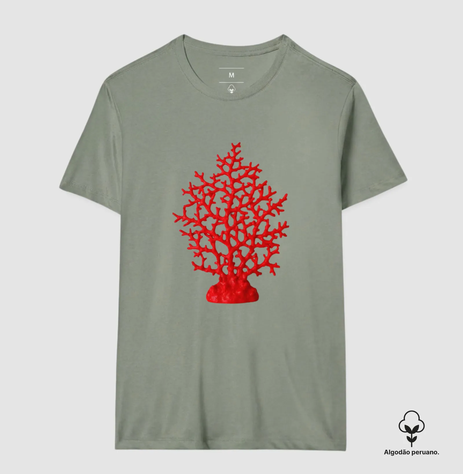 Coral - Imagem 9