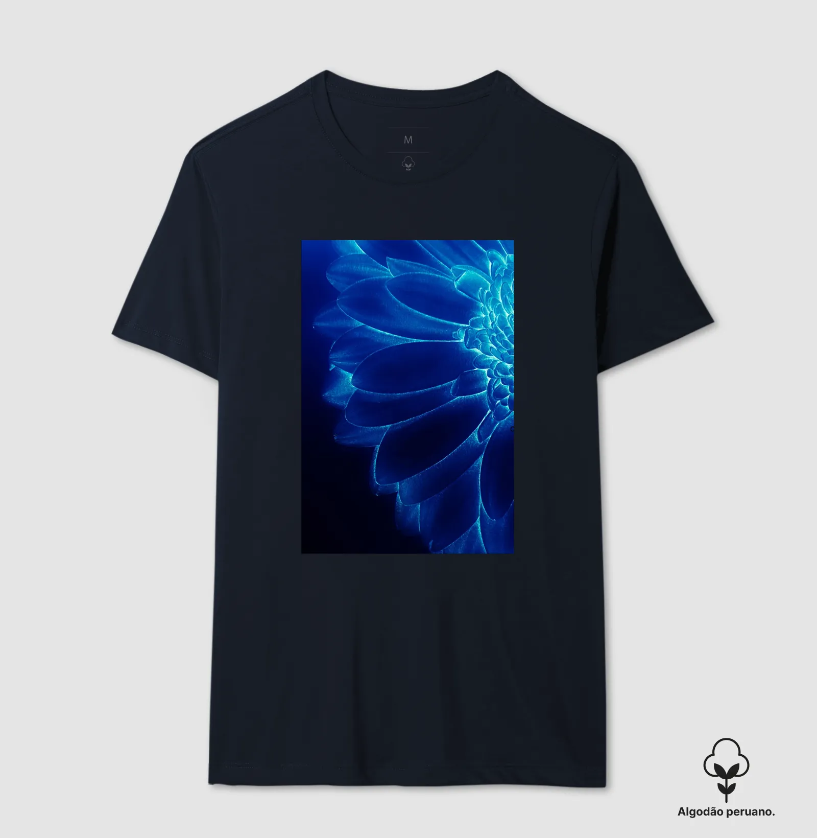 Flor azul - Imagem 6