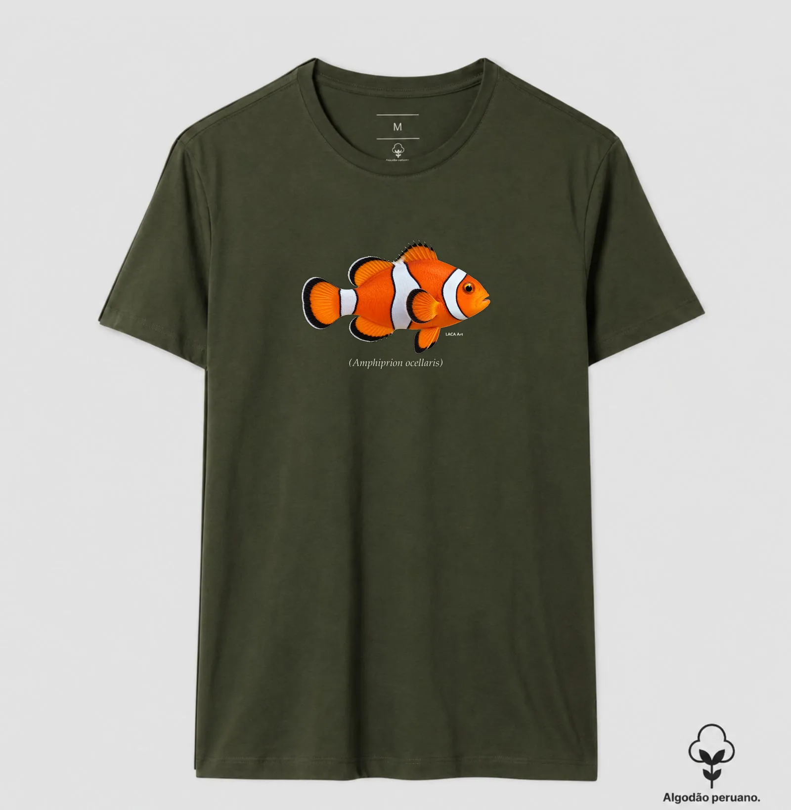 Peixe-Palhaço - Imagem 8