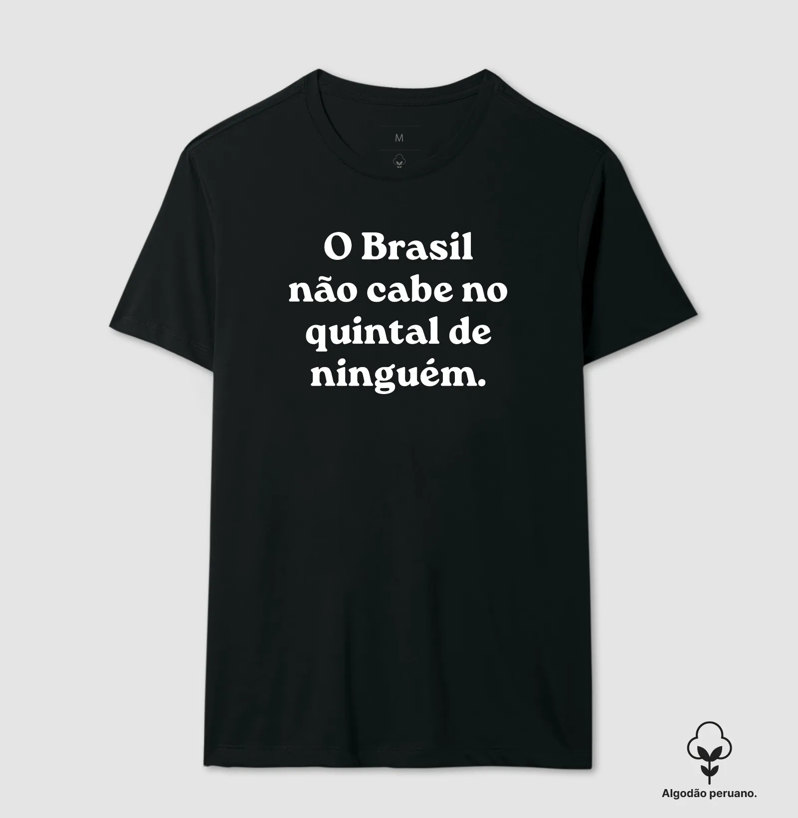 O Brasil não cabe no quintal de ninguém - Imagem 4
