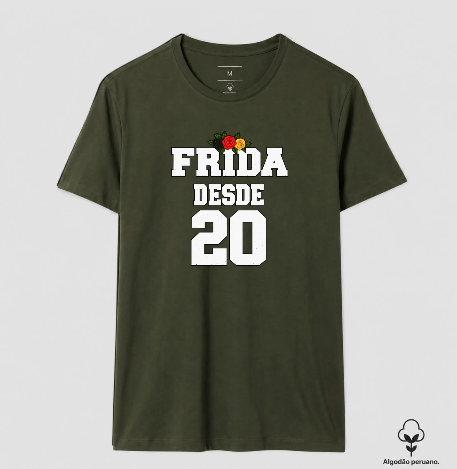 FRIDA - Imagem 6