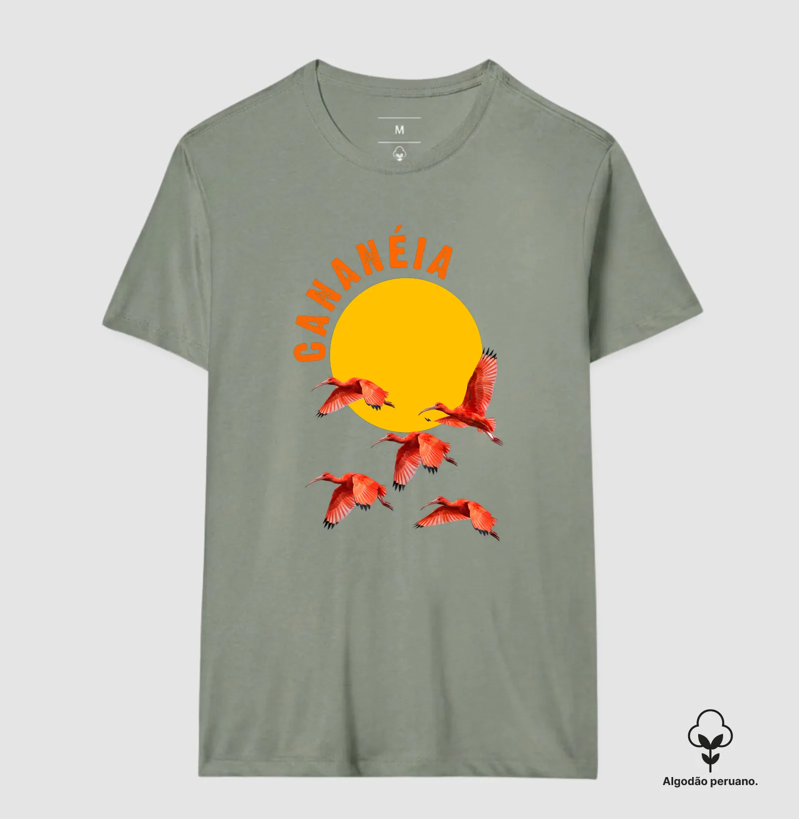 Camisa 5