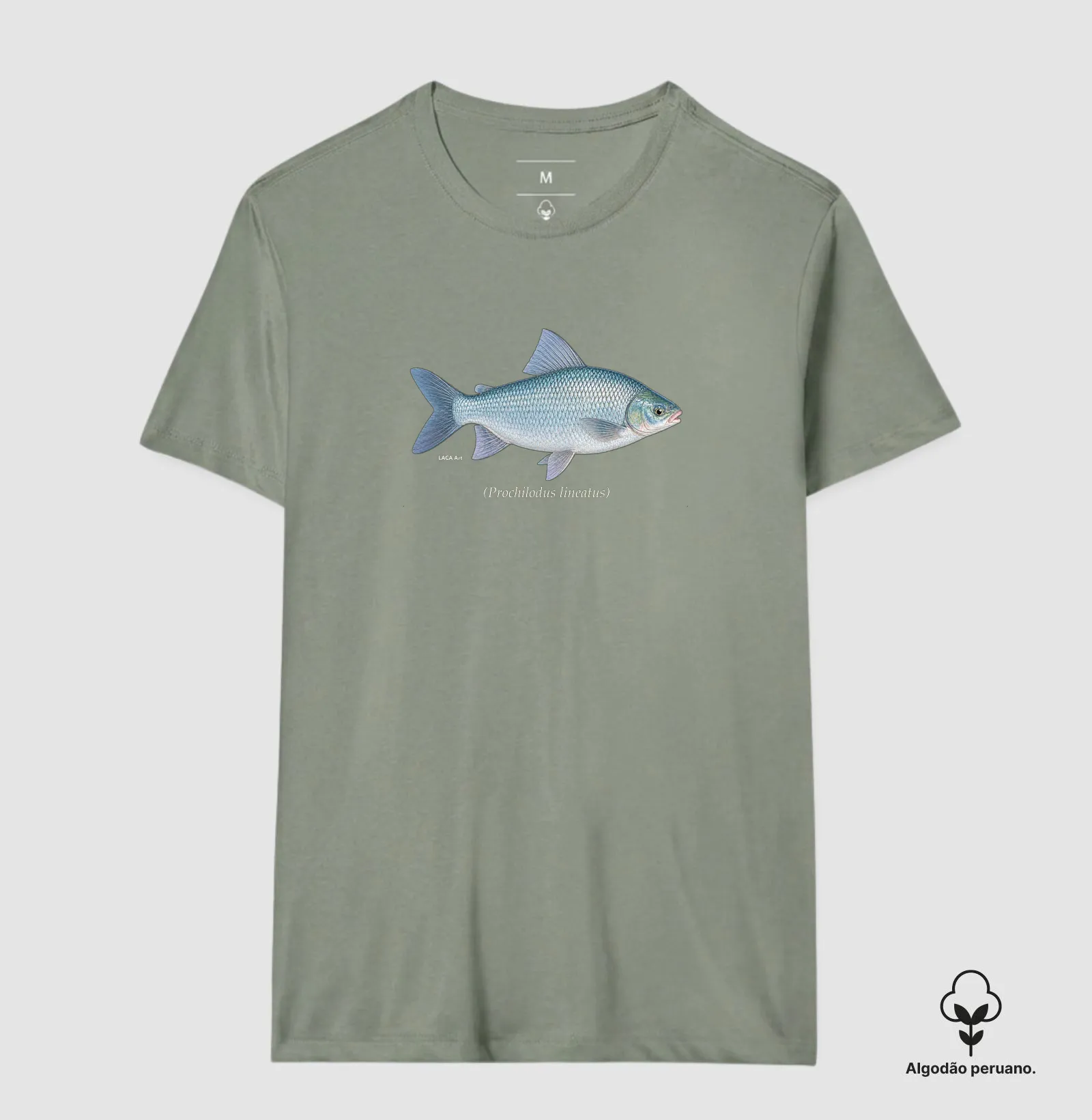 Camisa 8