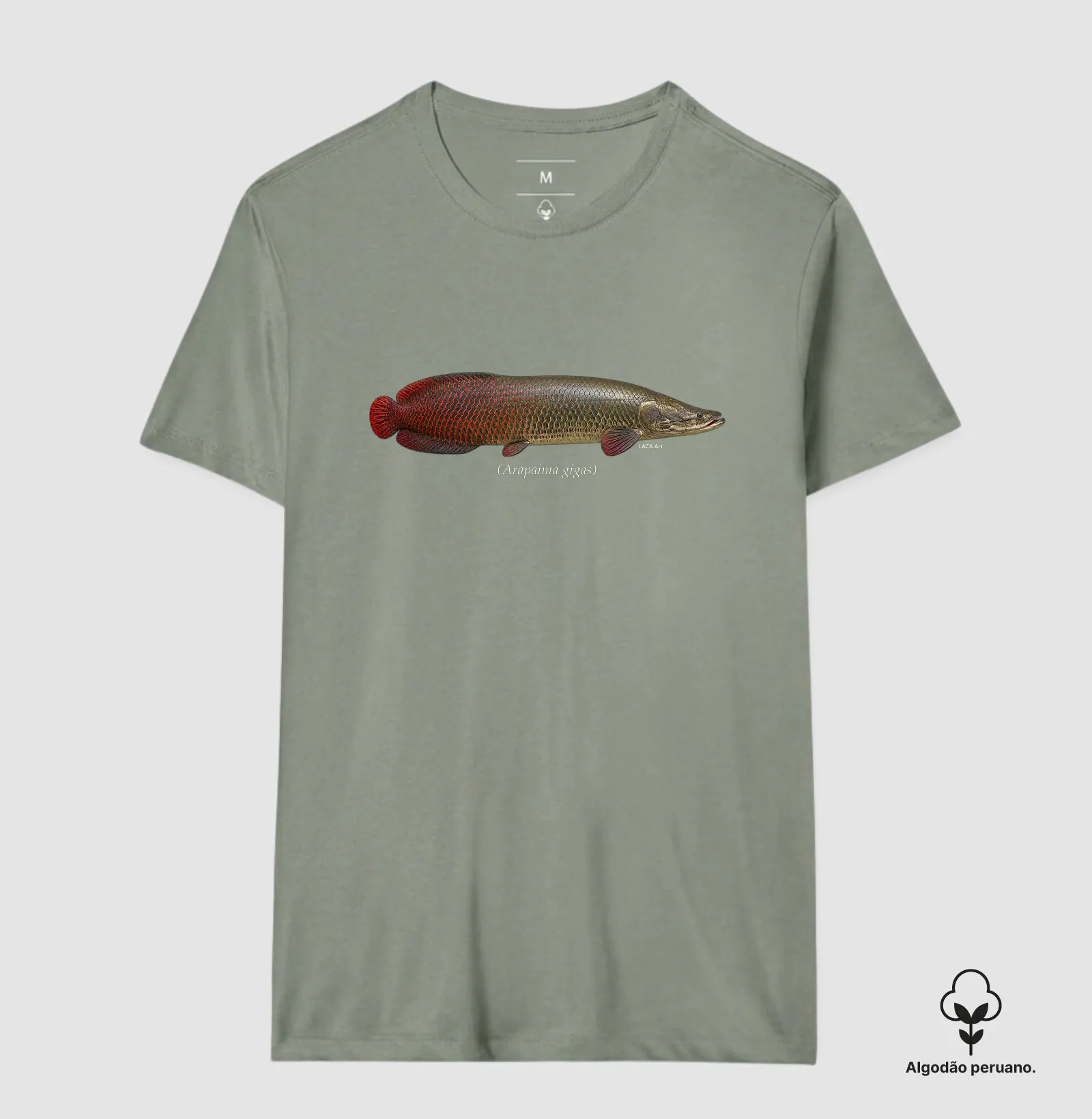 Camisa 8