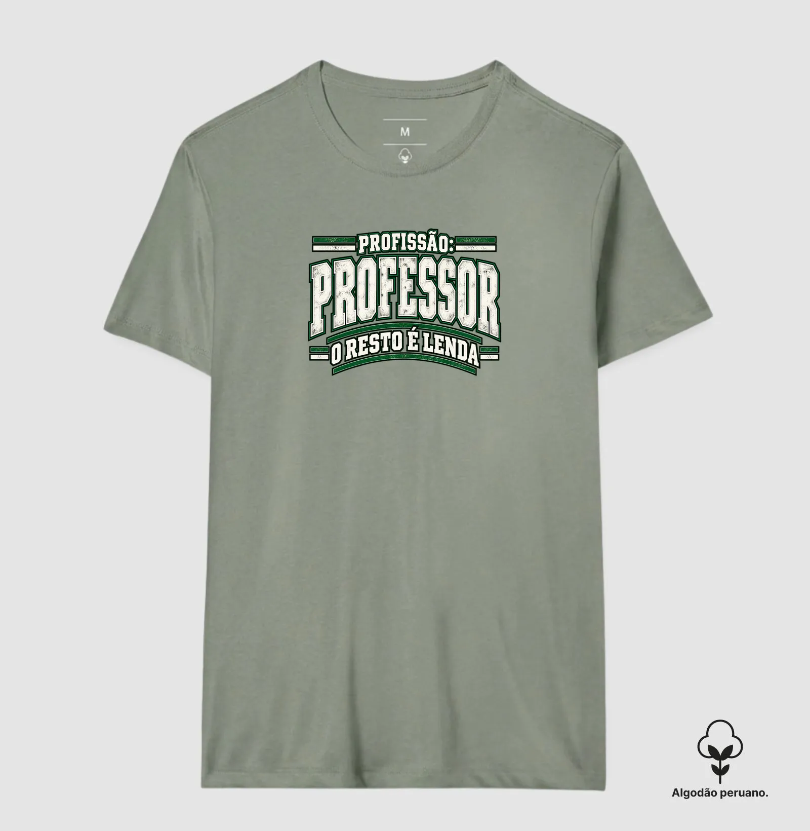 profissão professor - Imagem 9
