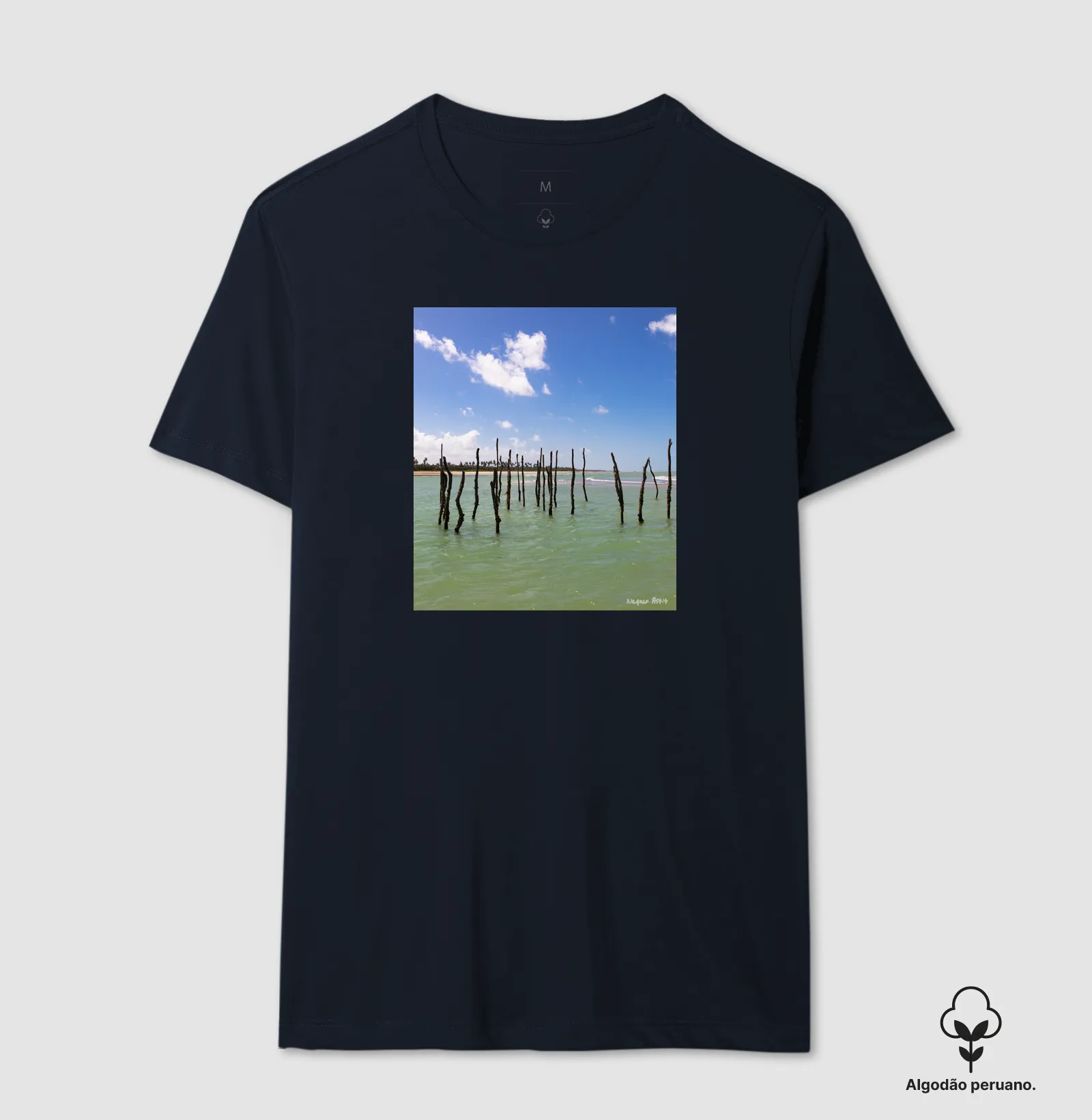Camisa 2