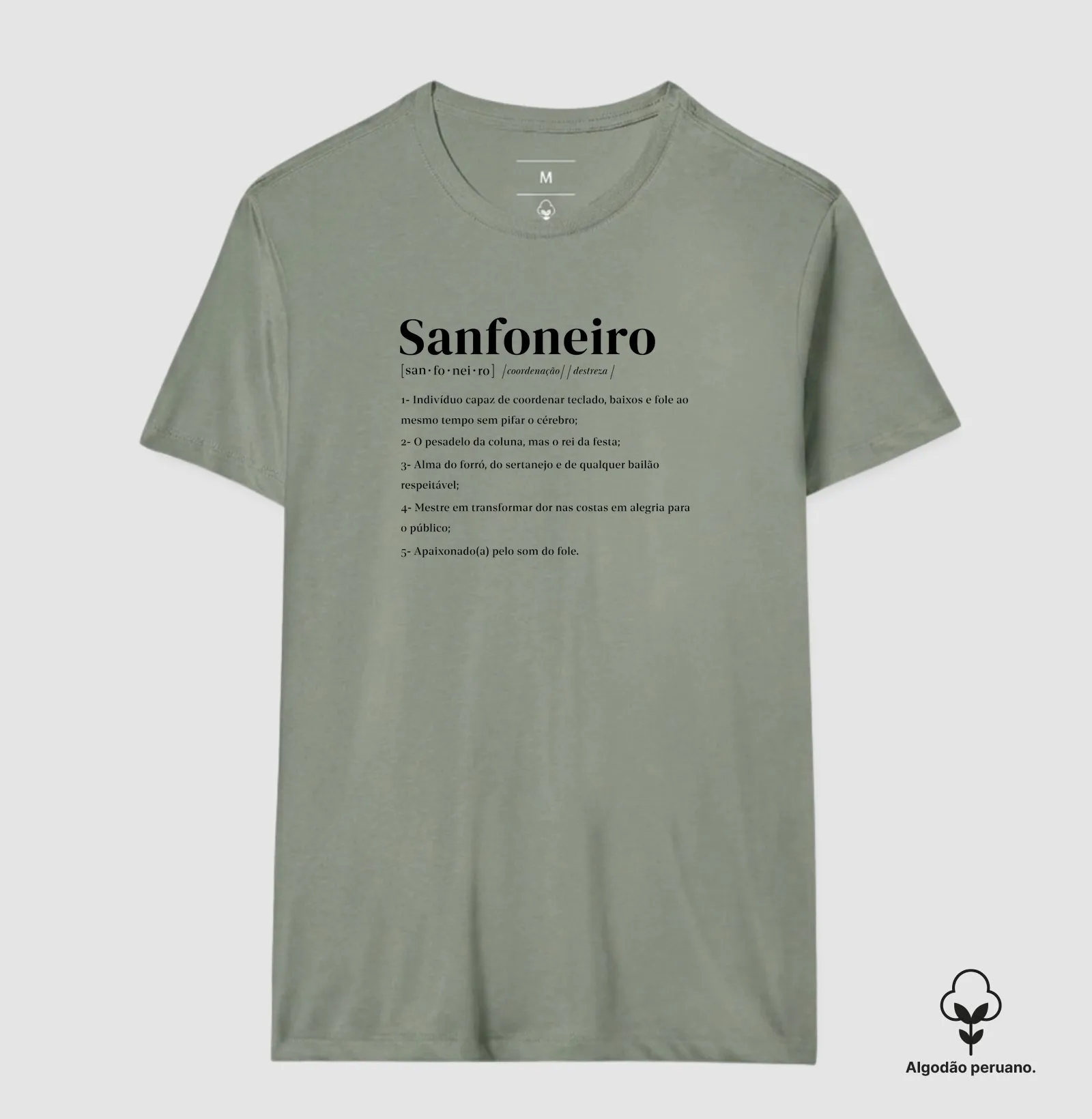 Definição de Sanfoneiro - Imagem 2