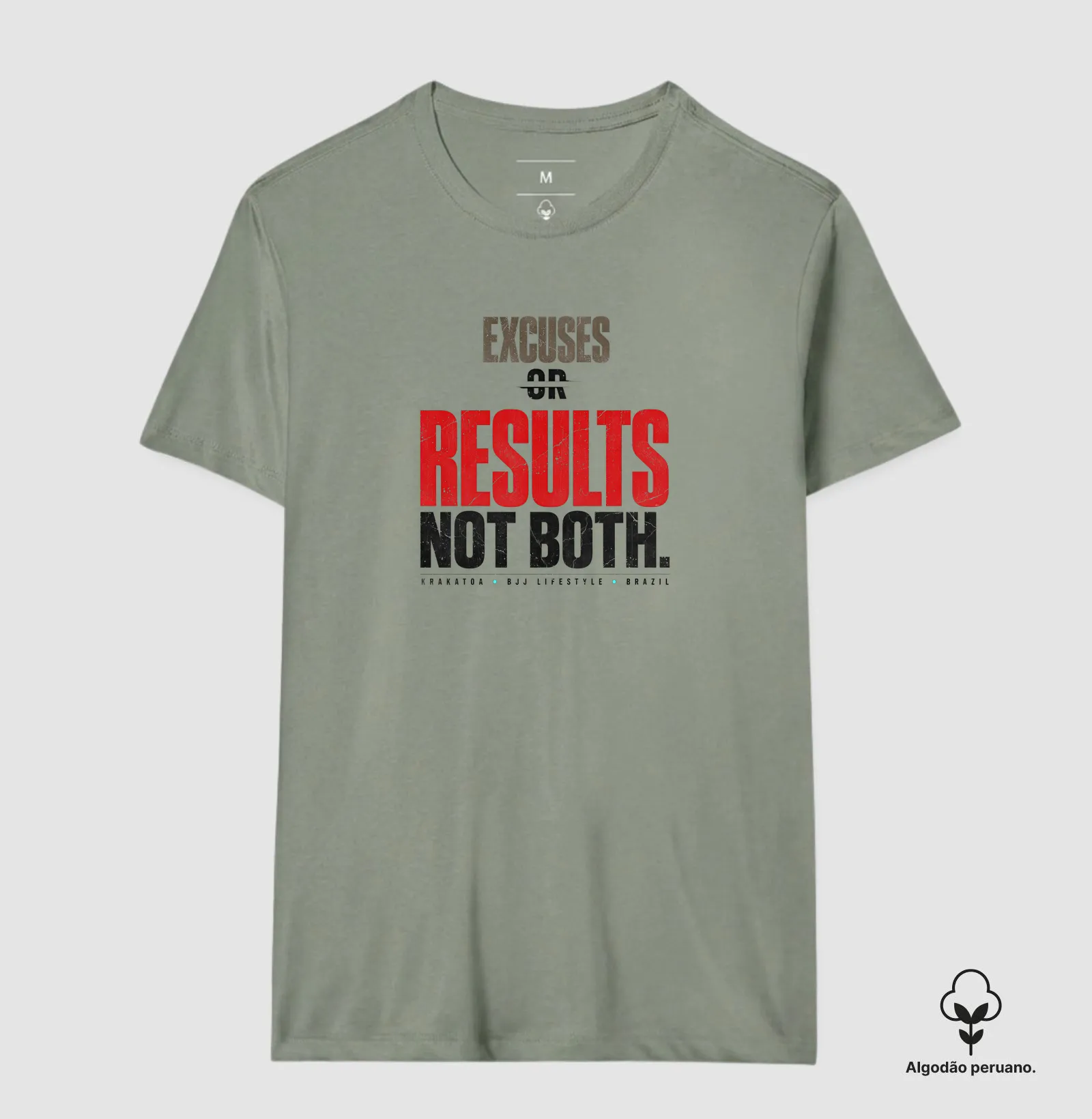 EXCUSES OR RESULTS. NOT BOTH. - Imagem 10