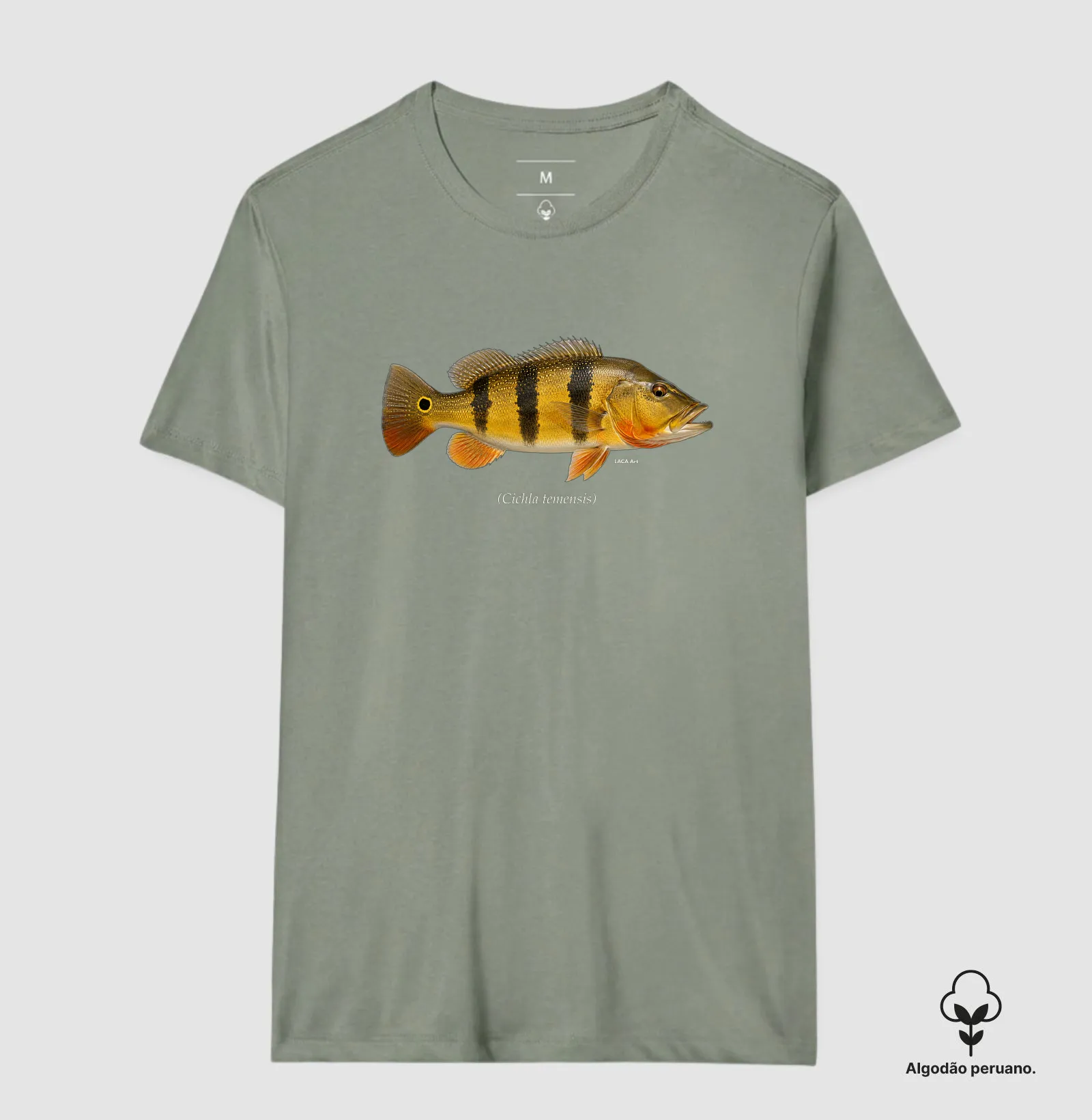 Camisa 8