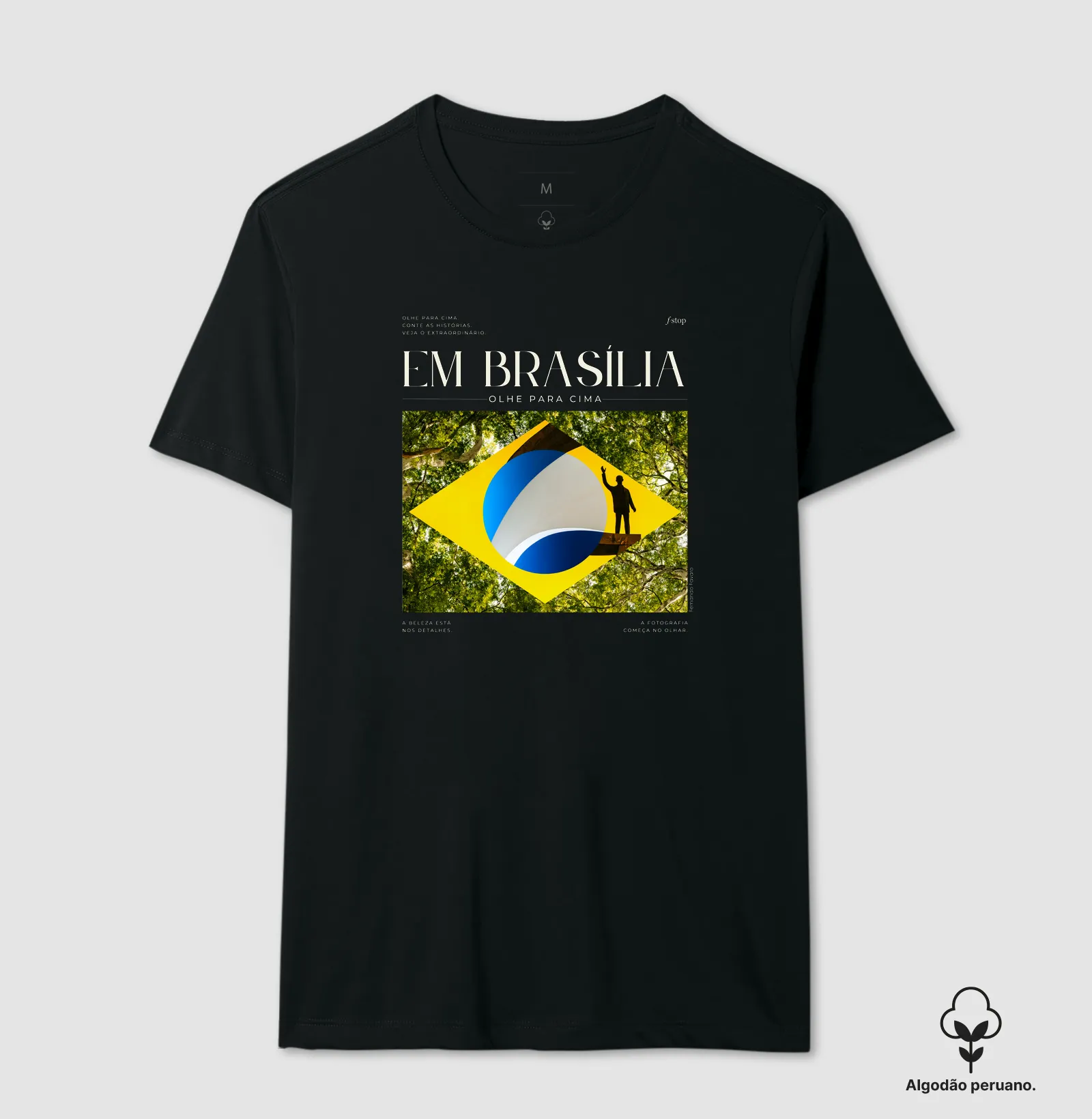 Em Brasília, olhe para cima - Imagem 4