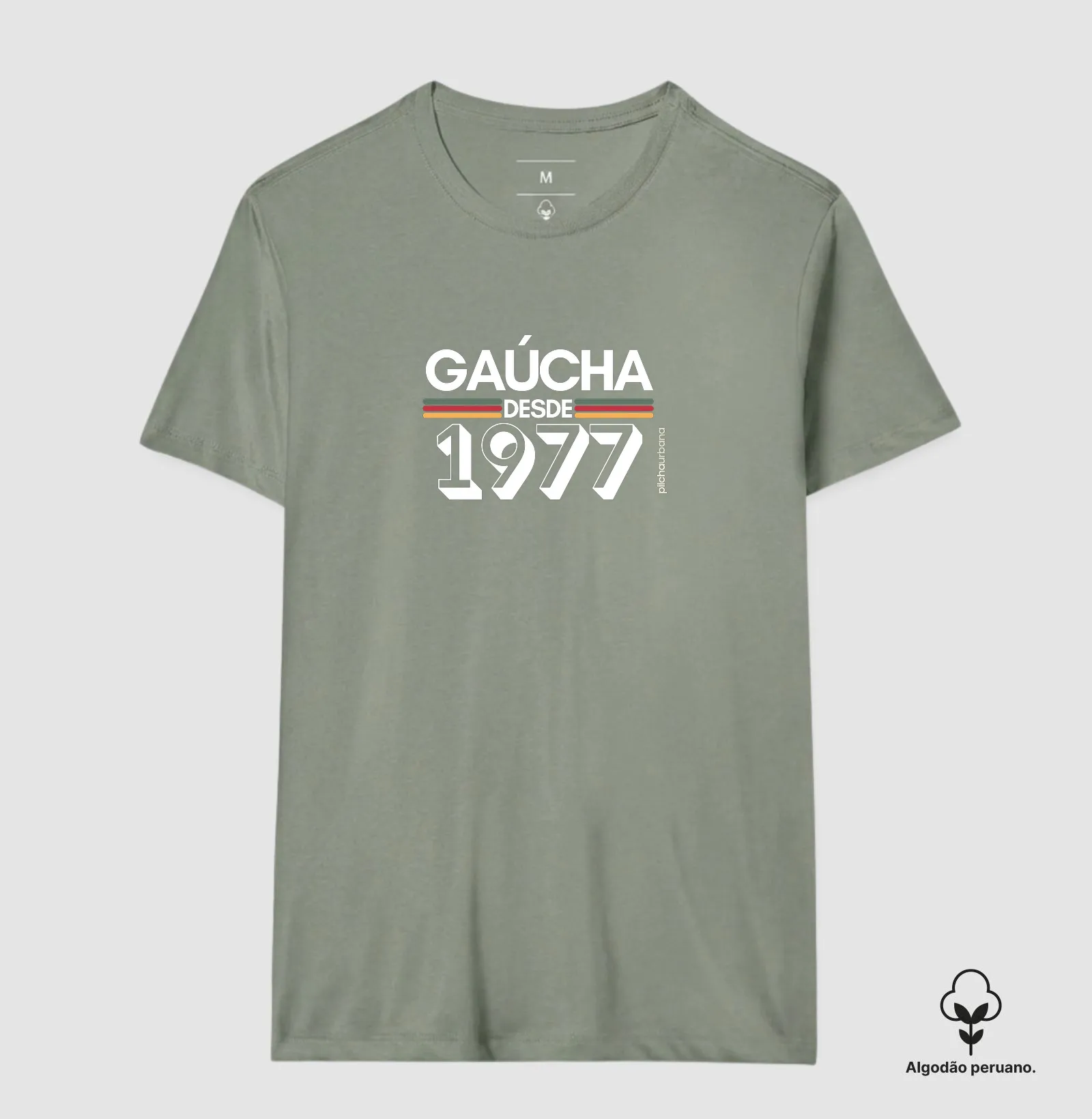 1977 - Imagem 7
