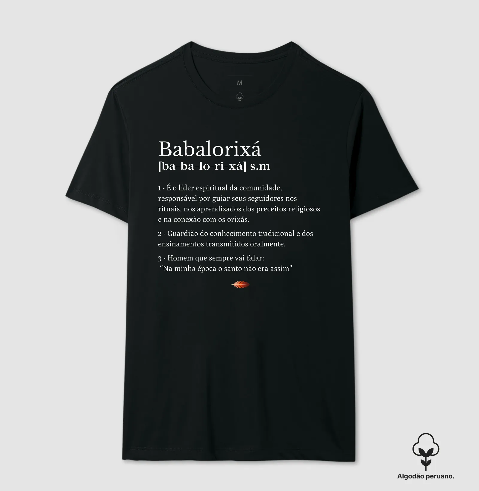 Camisa 1