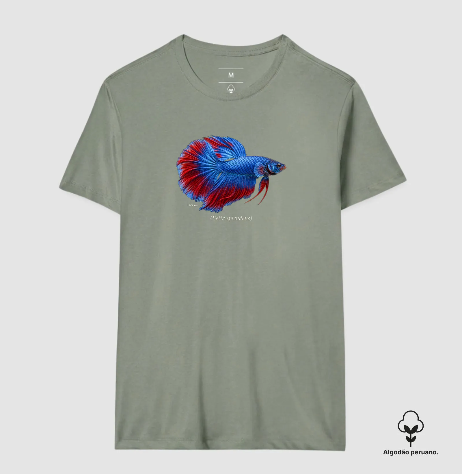 Betta - Imagem 4