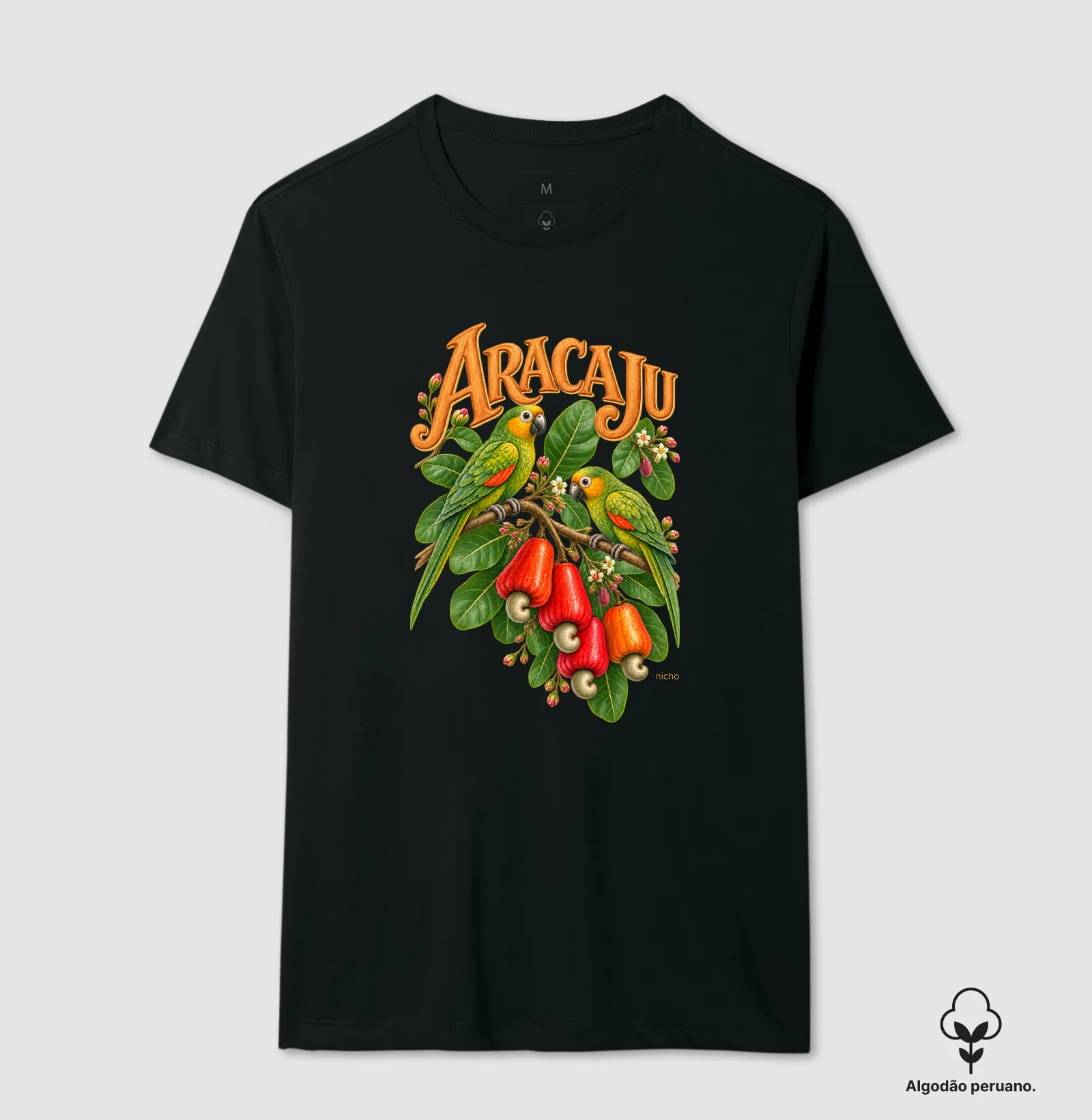 Aracaju - Cajueiro dos Papagaios - Imagem 4