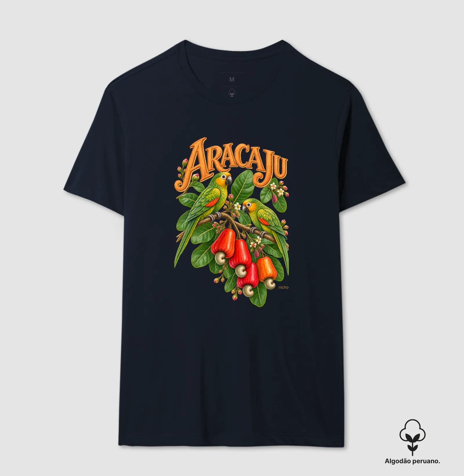 Aracaju - Cajueiro dos Papagaios - Imagem 6