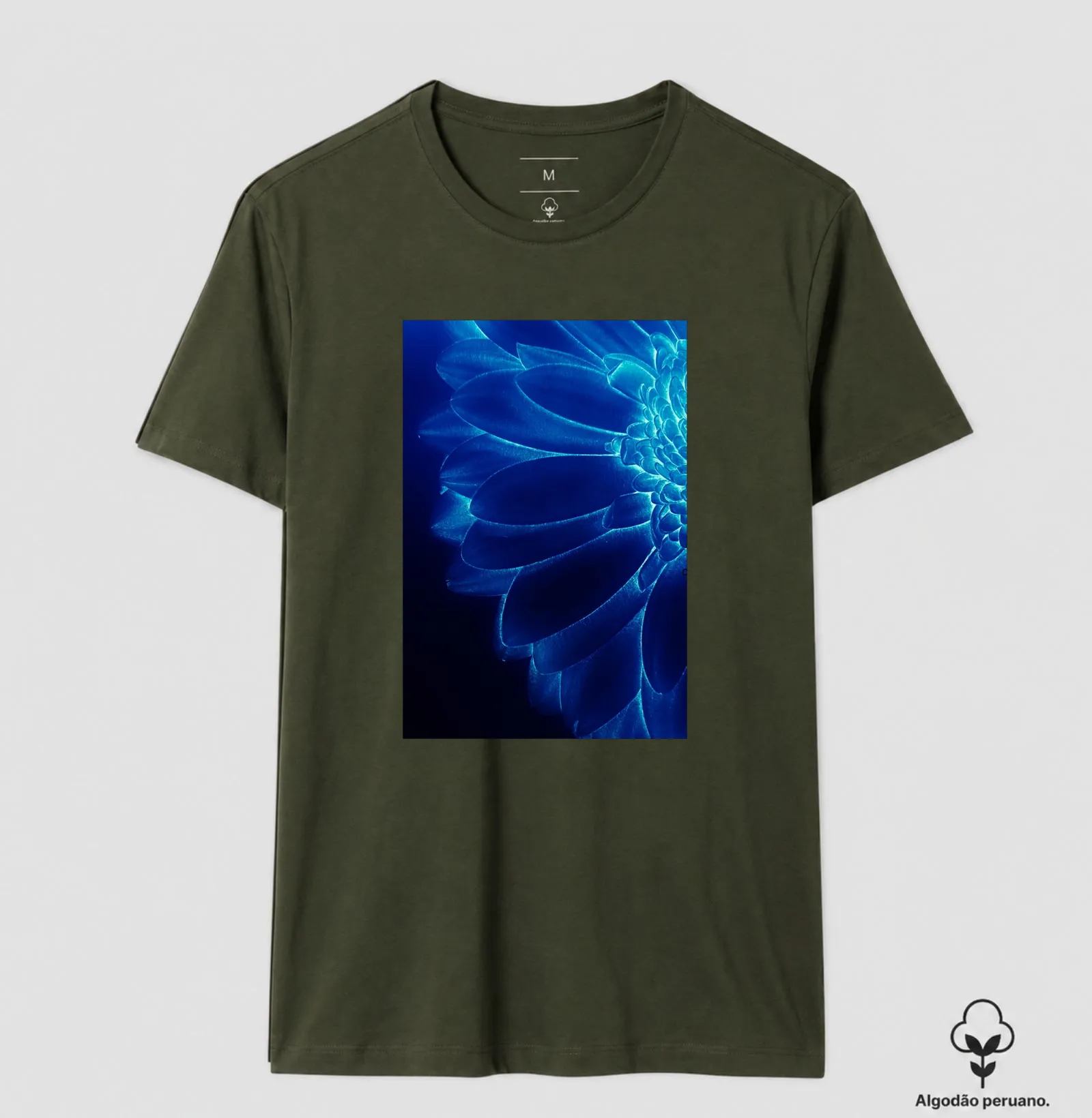Flor azul - Imagem 7