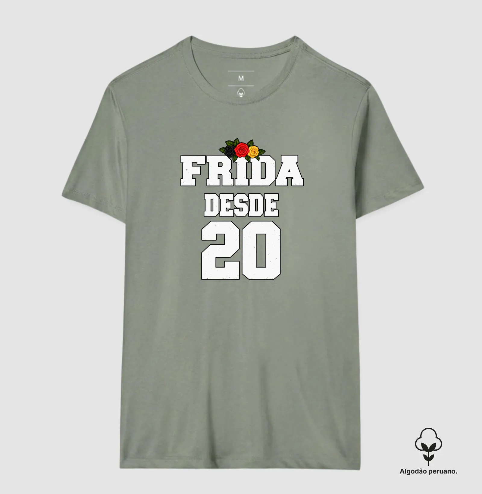 FRIDA - Imagem 7