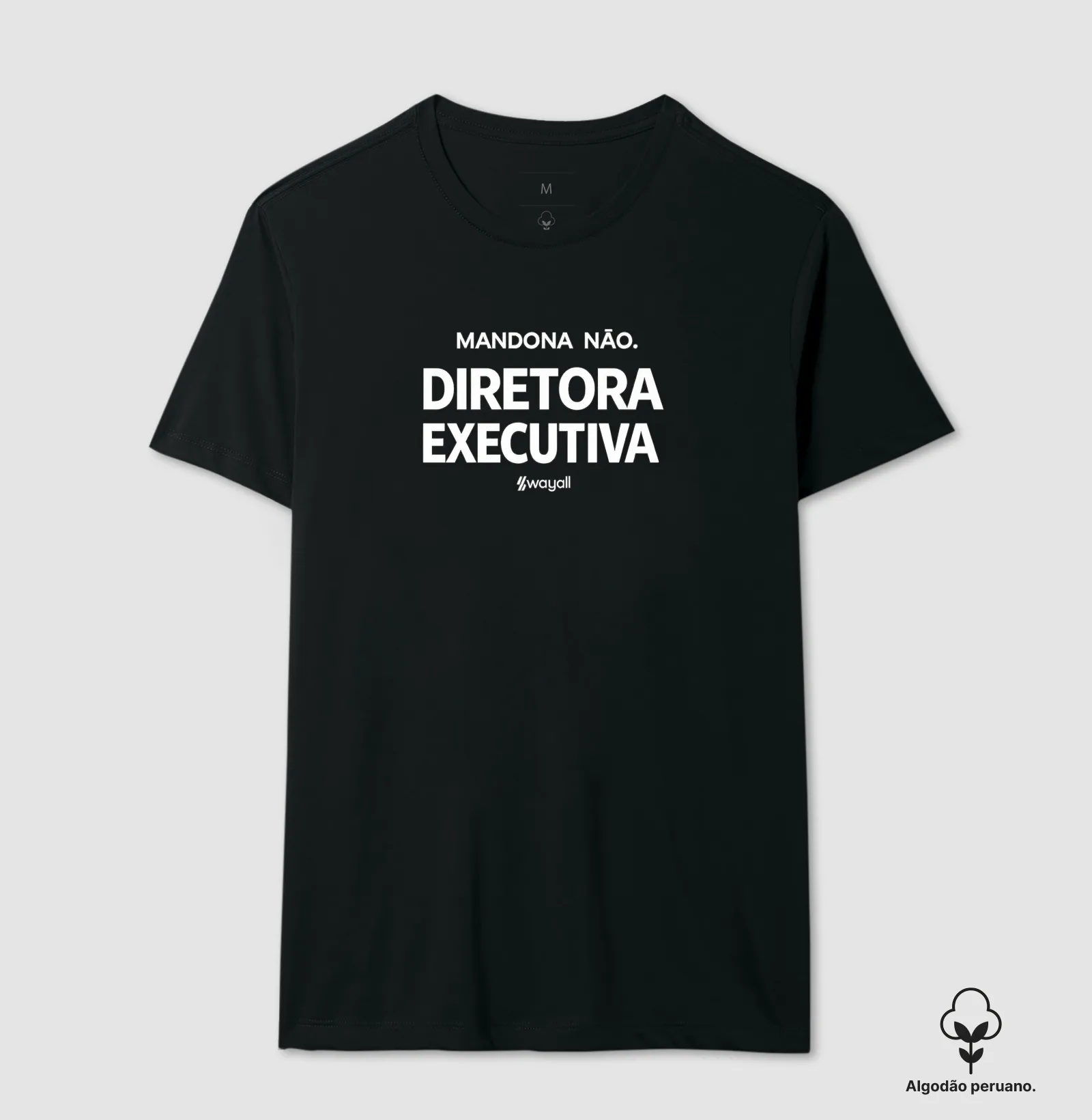 Diretora executiva - Imagem 5