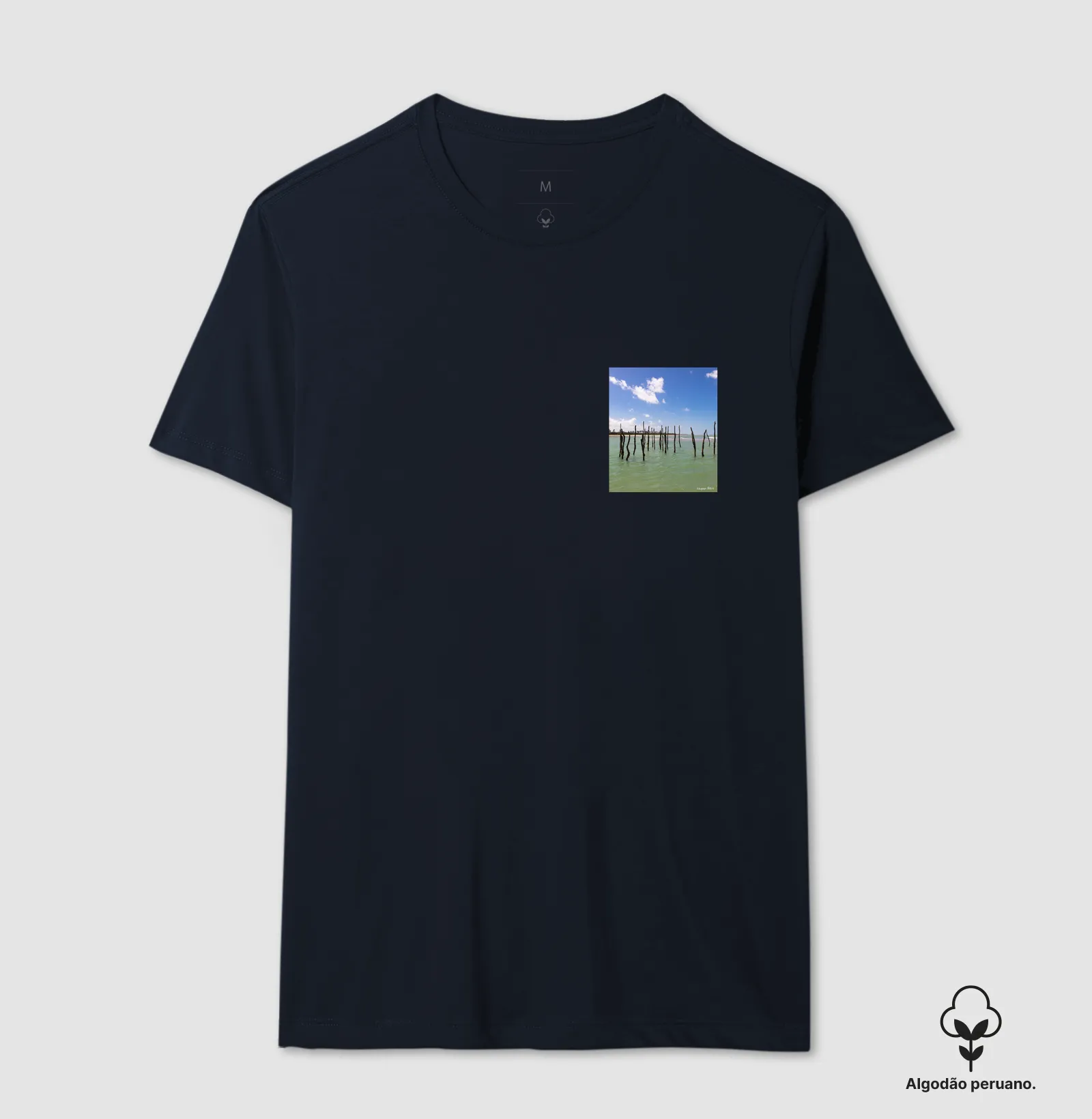 Camisa 2