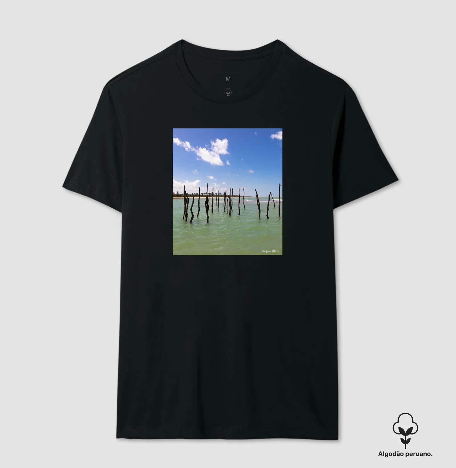 Camisa 3