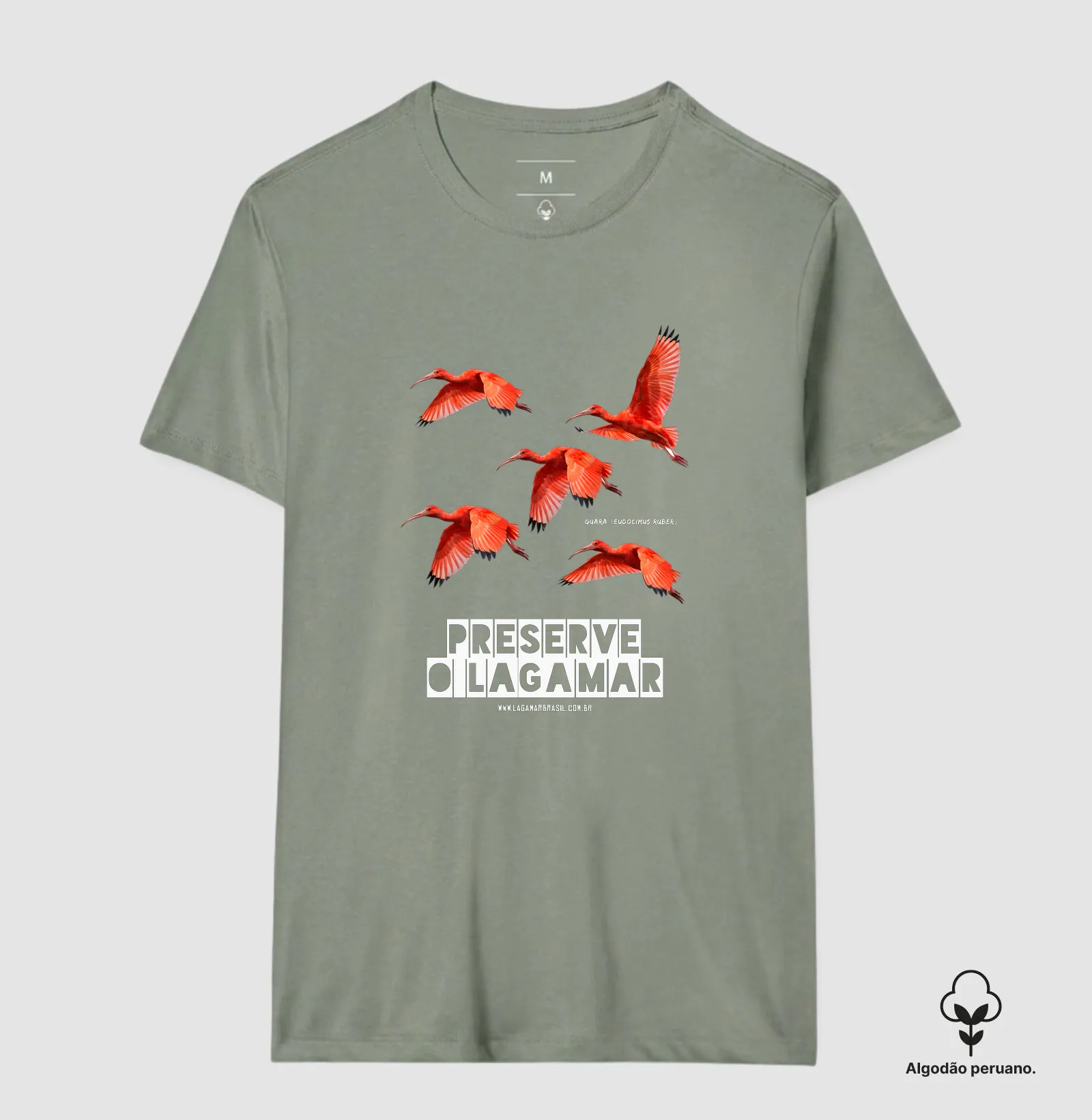 Camisa 7