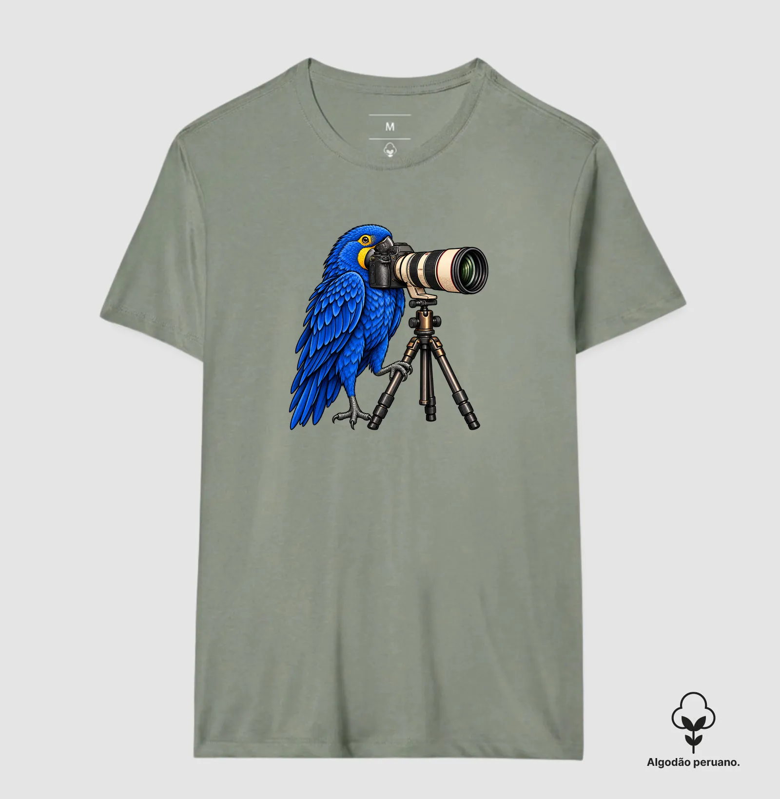 Arara azul - Imagem 7