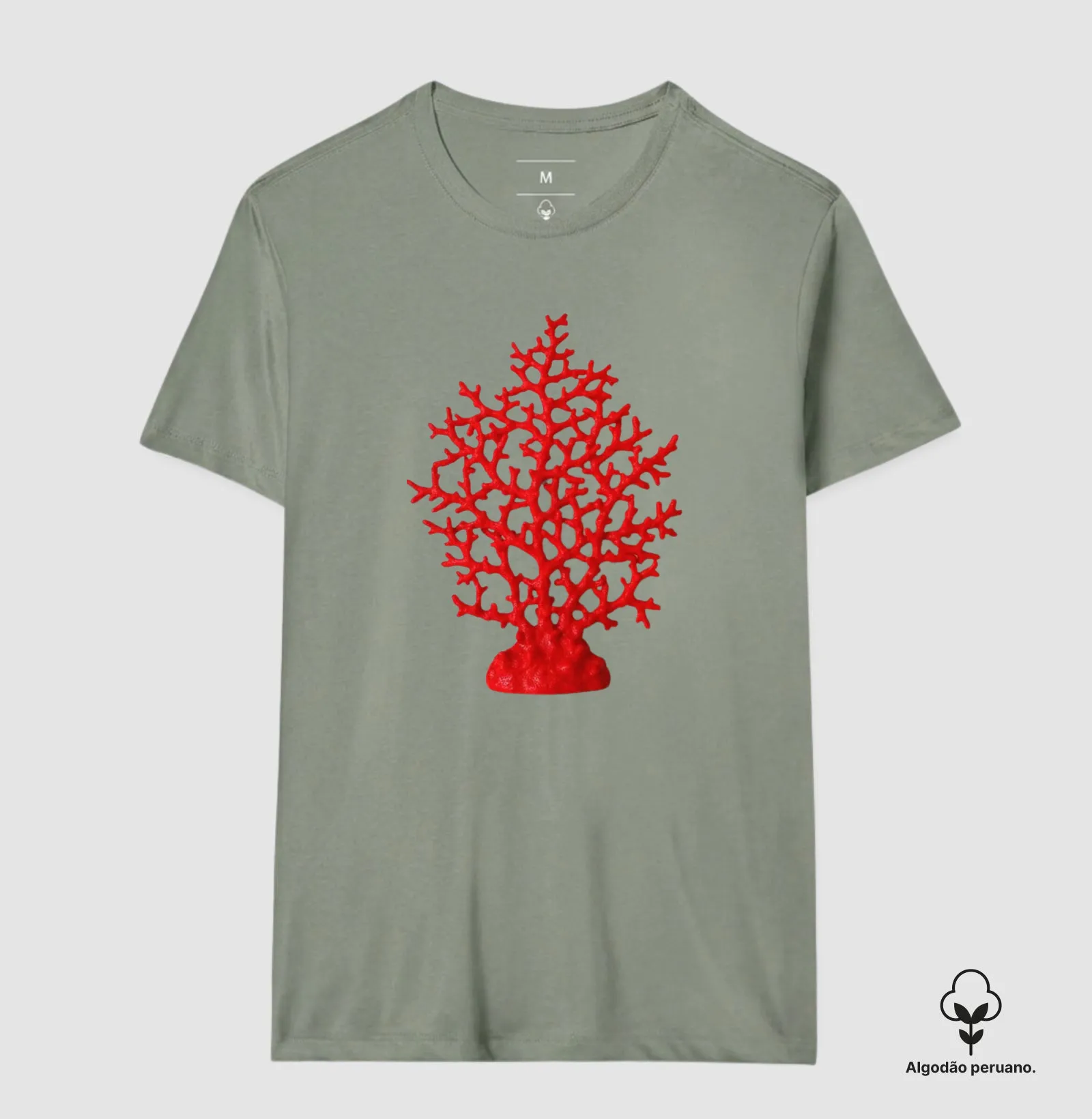 Coral  - Imagem 3