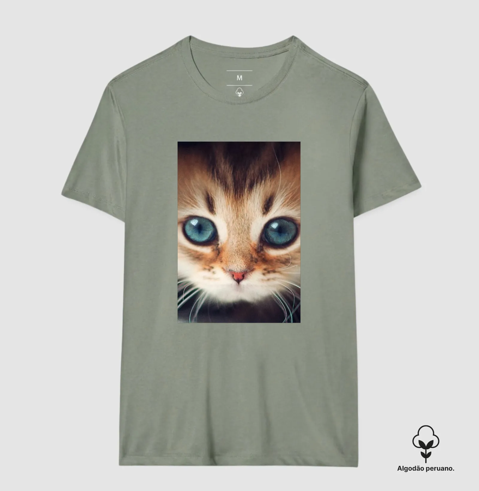 Gatinho - Imagem 9