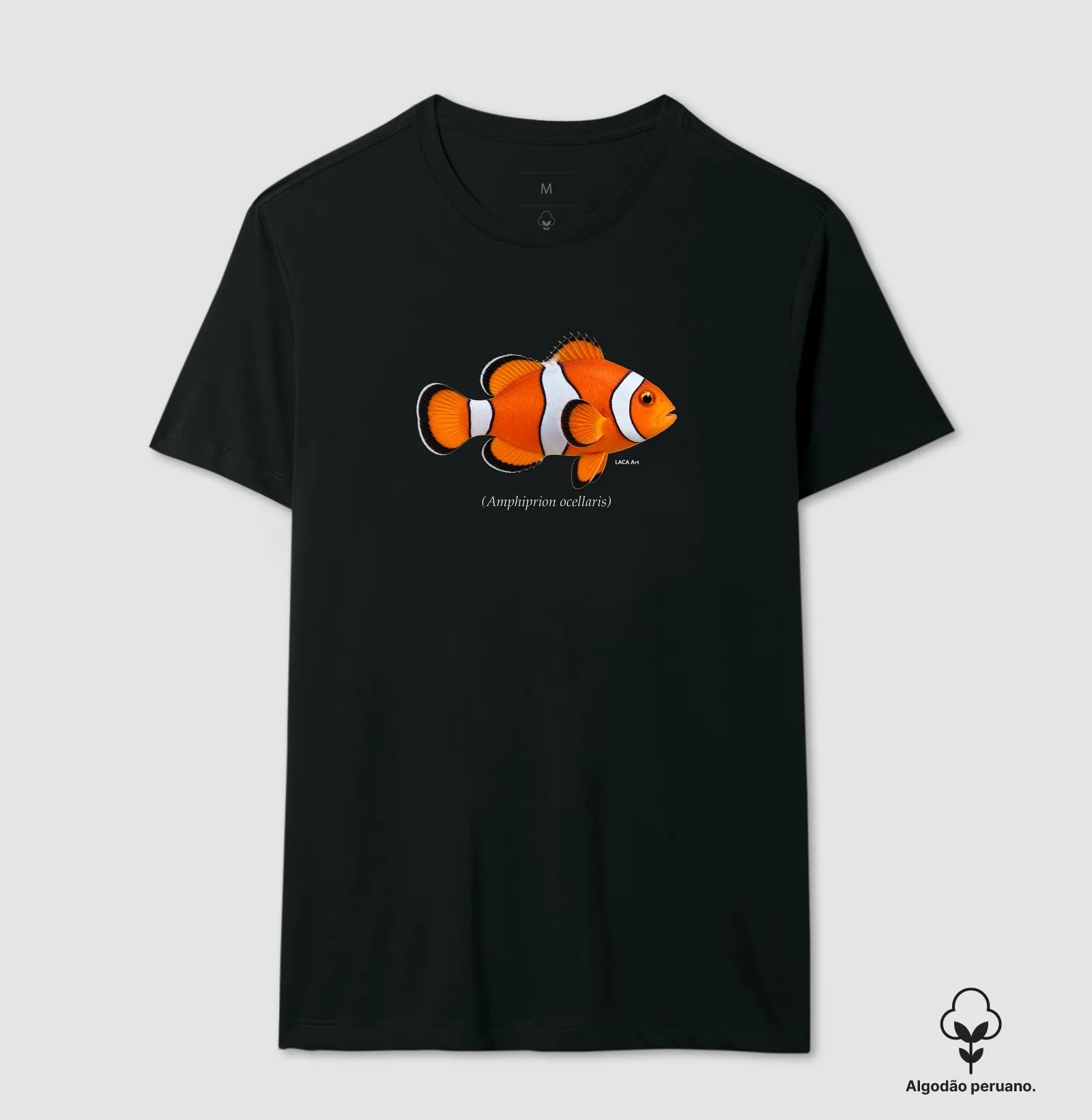 Peixe-Palhaço - Imagem 5