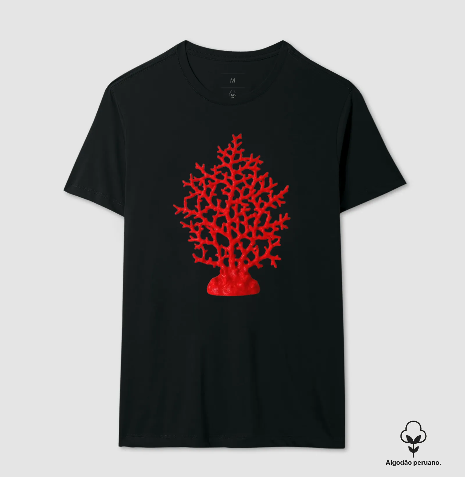 Coral  - Imagem 4