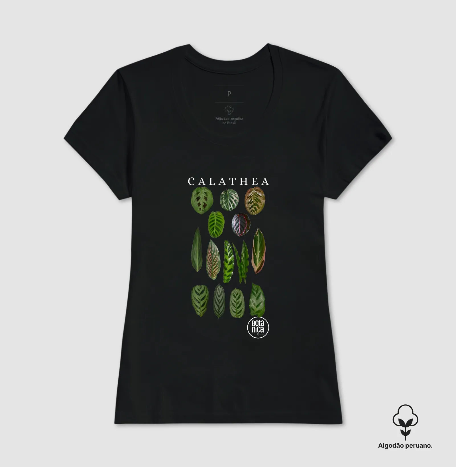 Calatheas - Imagem 2