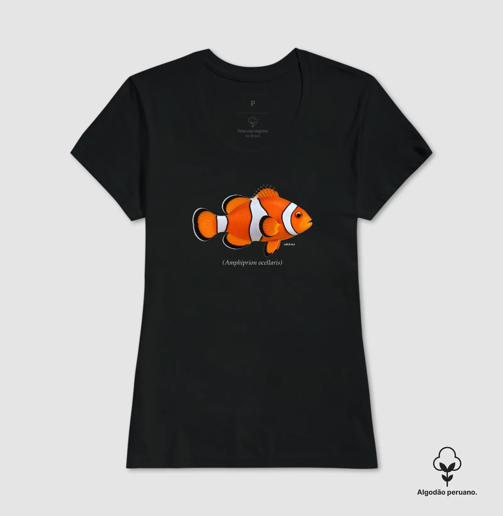 Peixe-Palhaço - Imagem 7