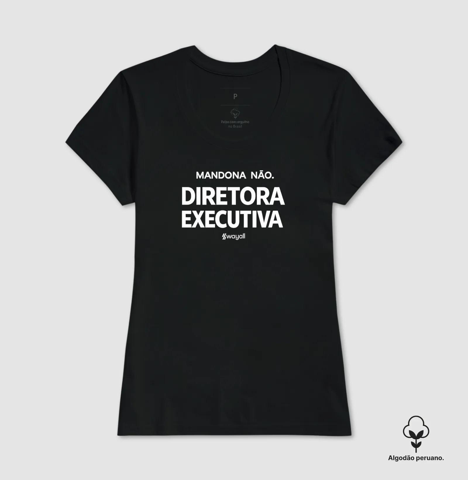 Diretora executiva - Imagem 10