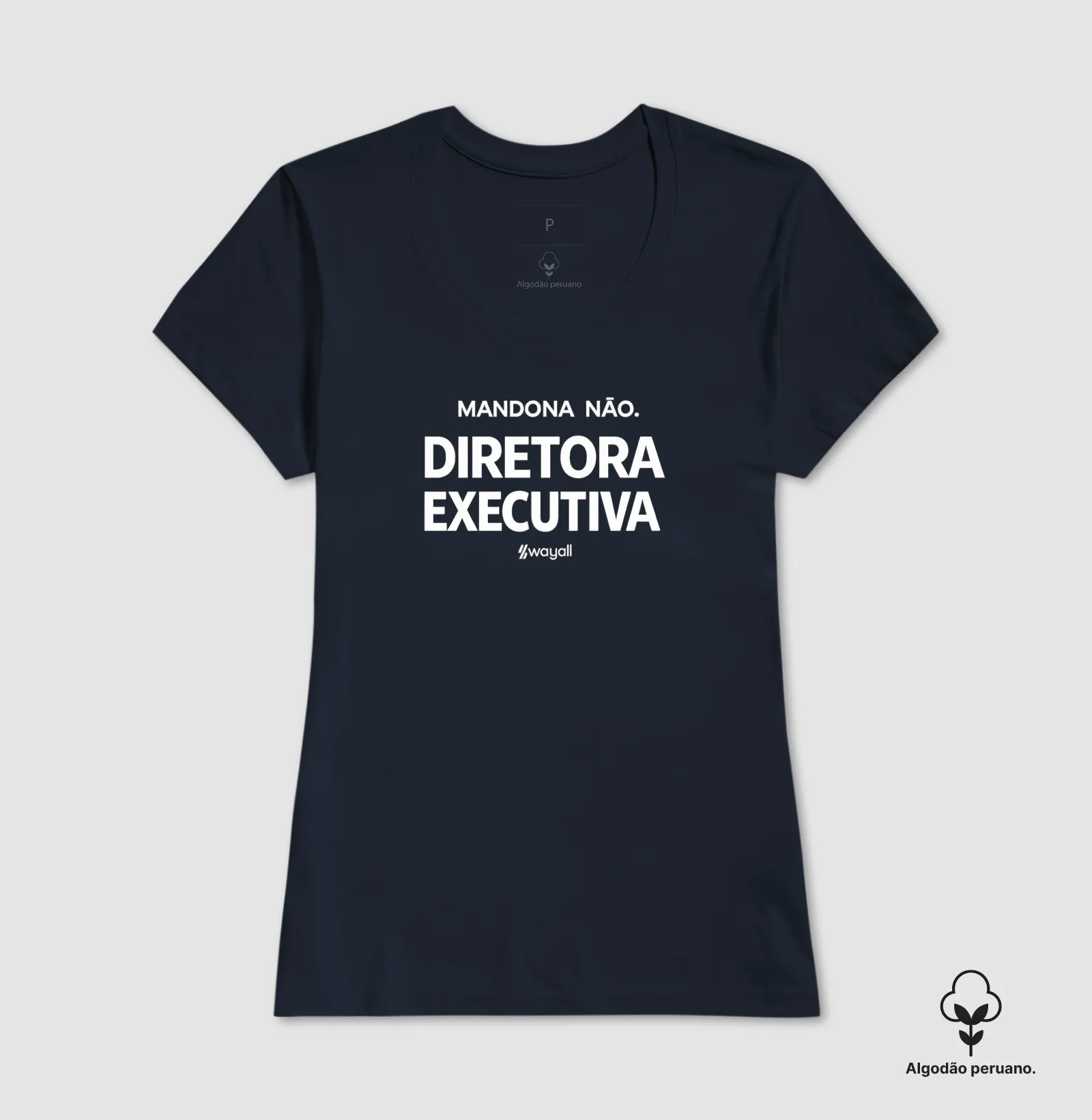 Diretora executiva - Imagem 3
