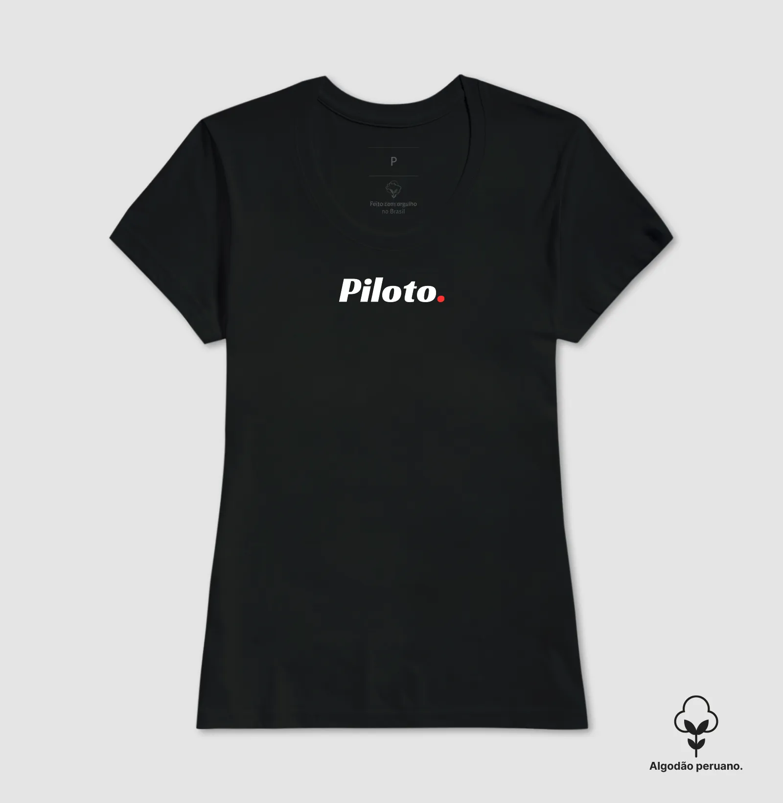 Piloto. - Imagem 2