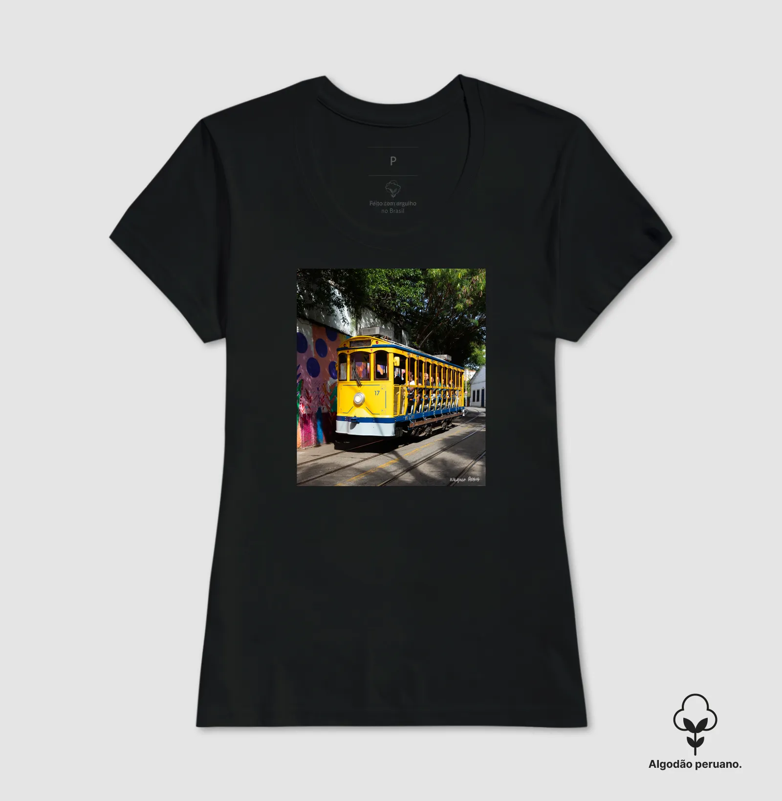 Camisa 1