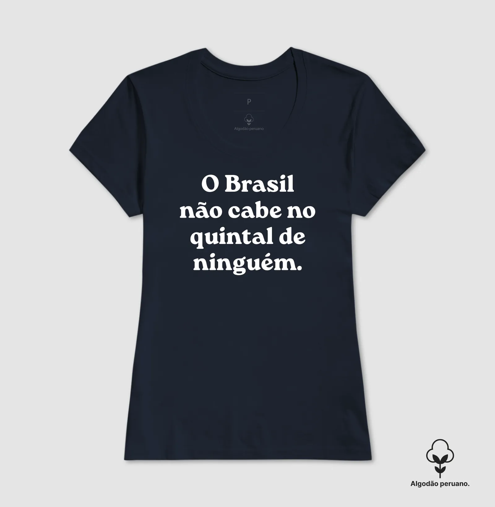 O Brasil não cabe no quintal de ninguém - Imagem 7