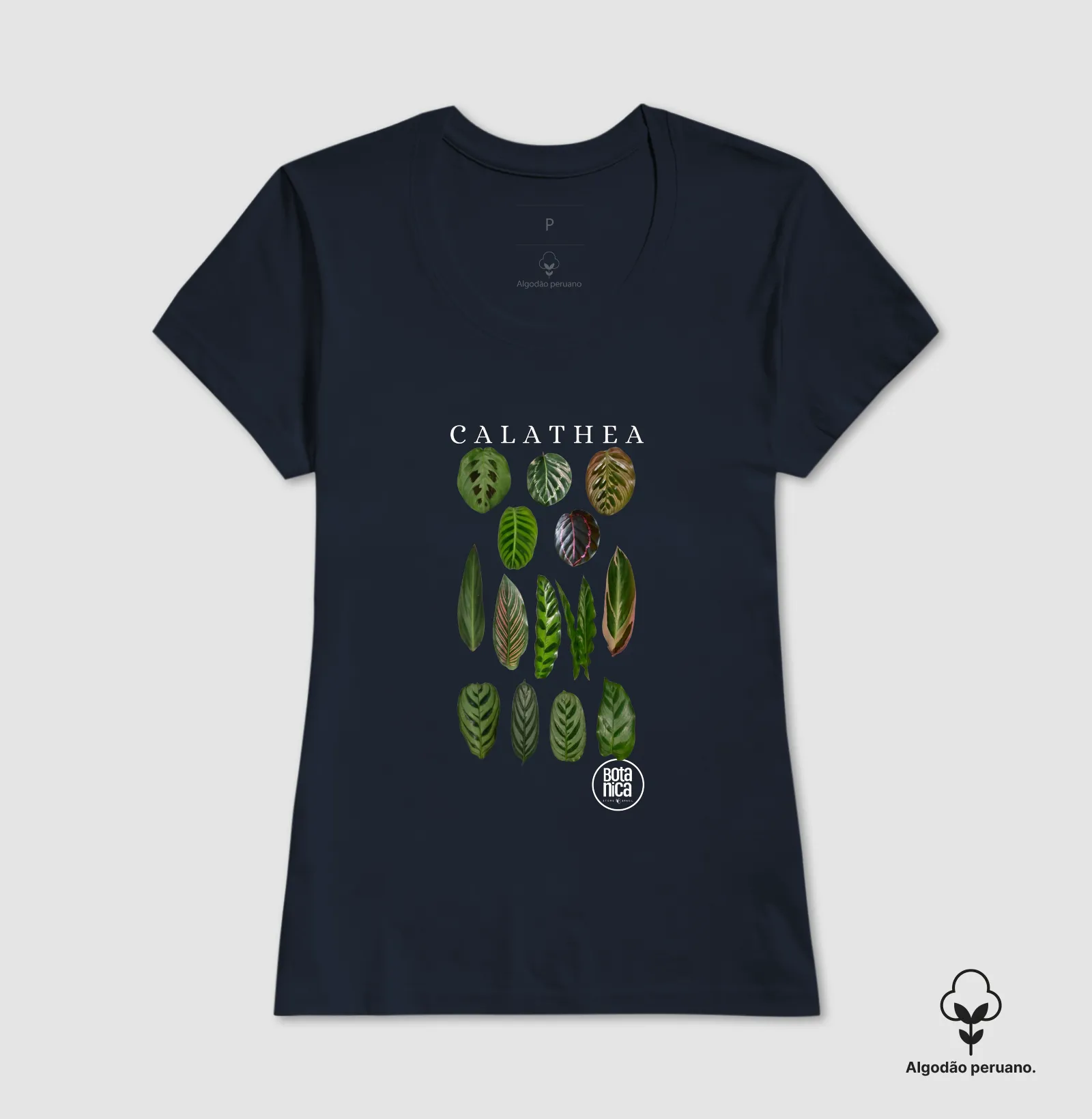 Calatheas - Imagem 8