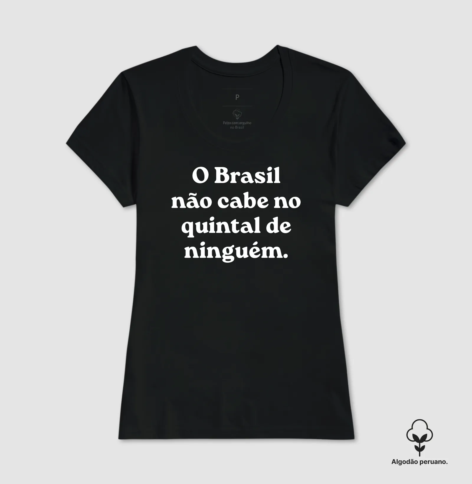 O Brasil não cabe no quintal de ninguém - Imagem 8