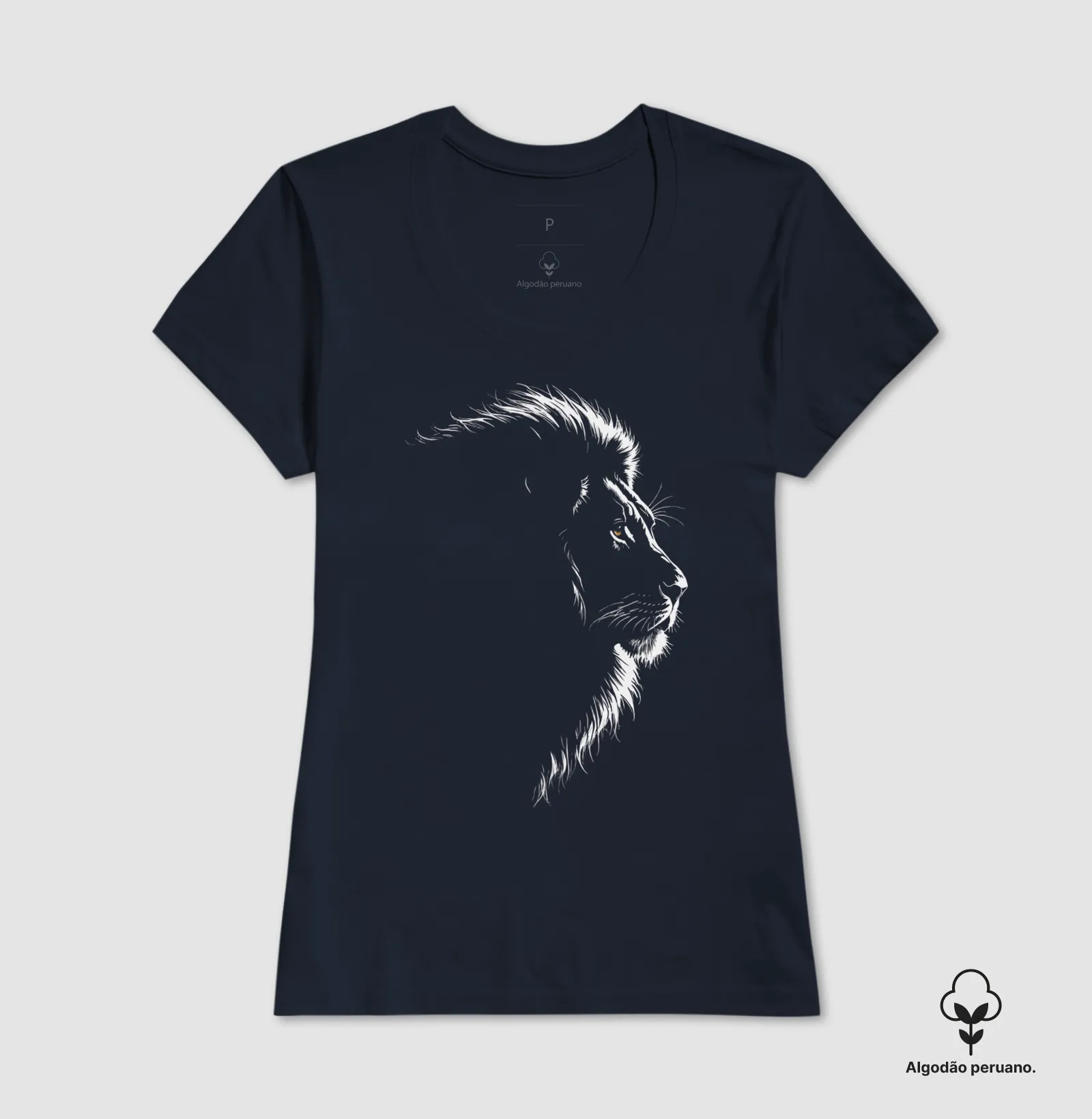 Lion in the dim light - Imagem 5
