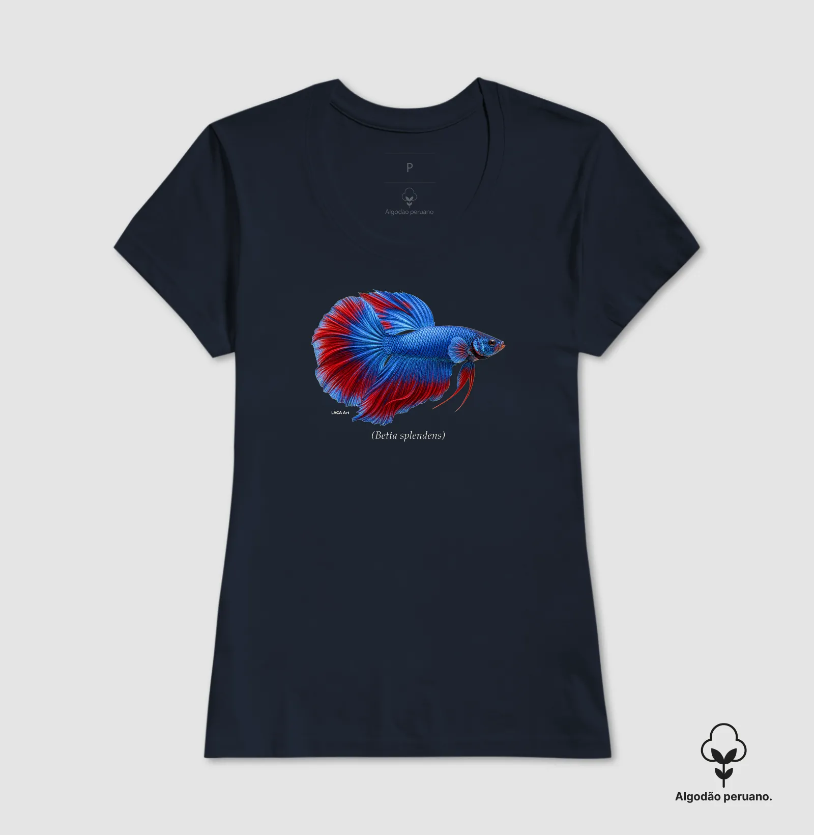Betta - Imagem 5
