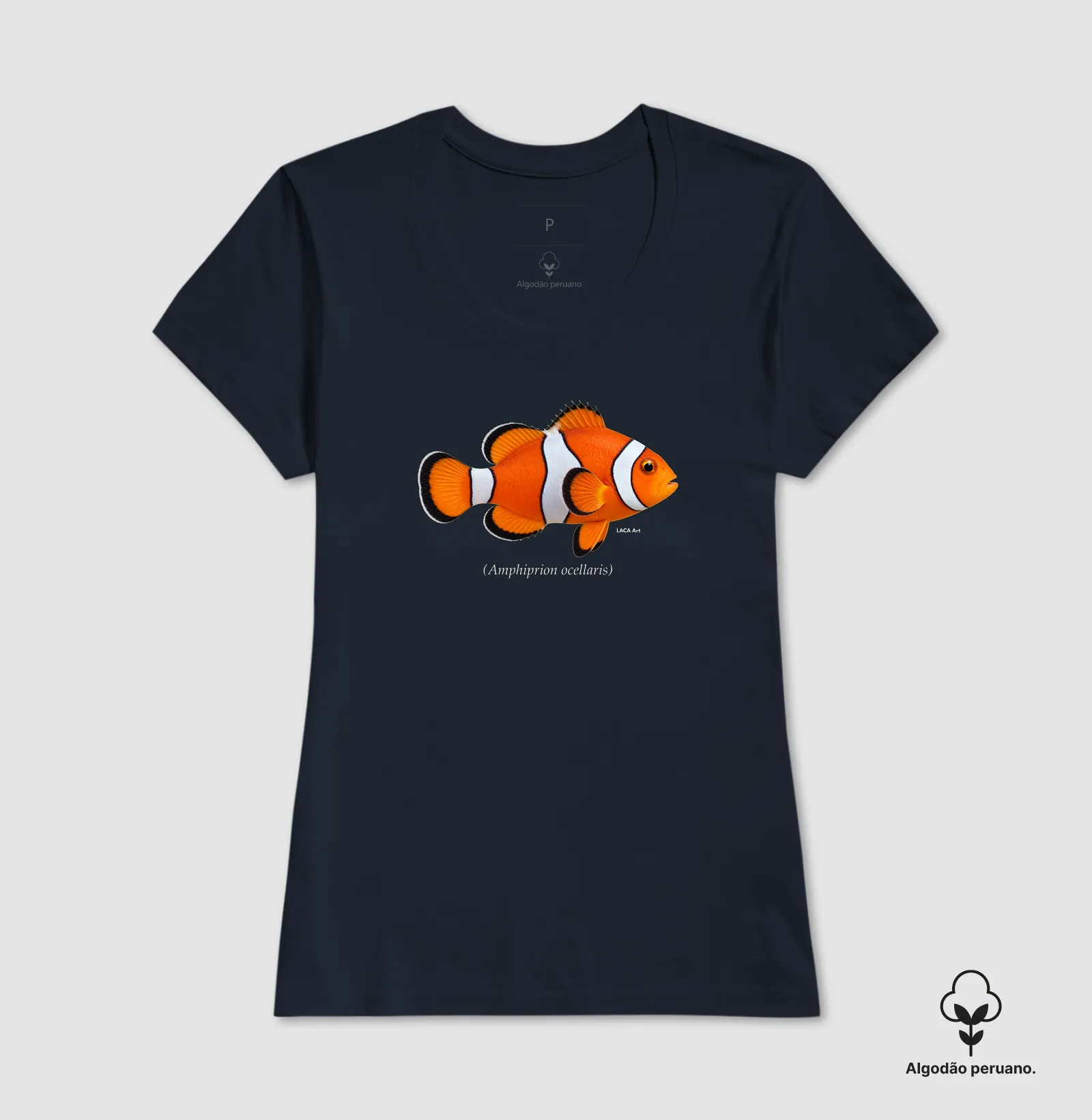 Peixe-Palhaço - Imagem 2