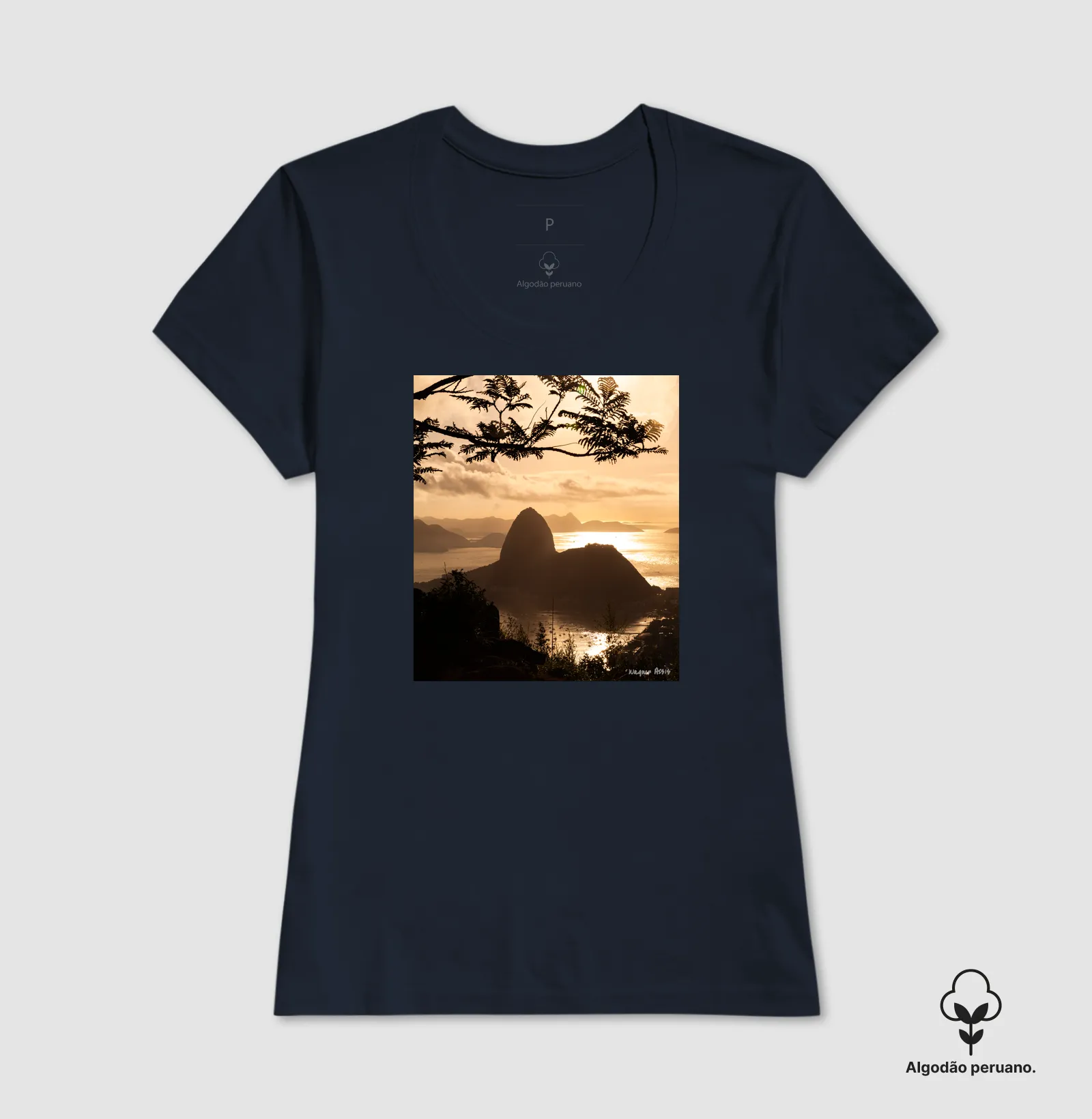Camisa 6