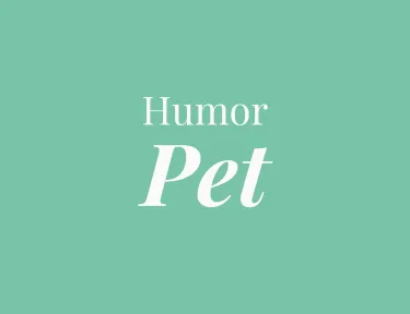 Mini banner